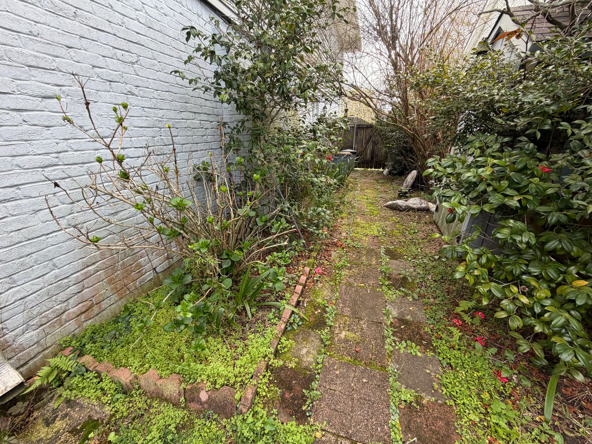 Gallery photos for Backyard Cleanup That Actually Makes a Difference: Image #3