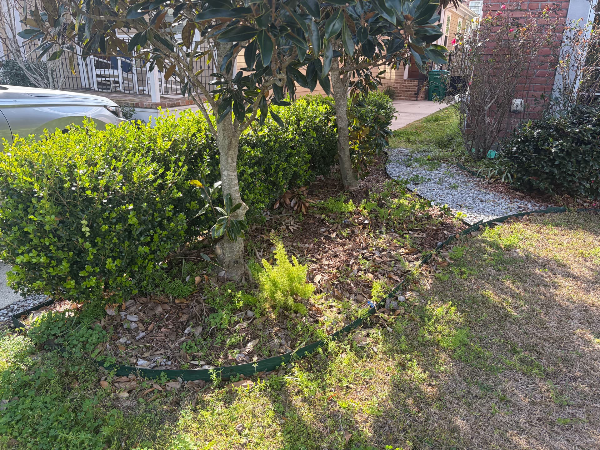 Gallery photos for Garden Makeover with Fresh Planting: Image #2