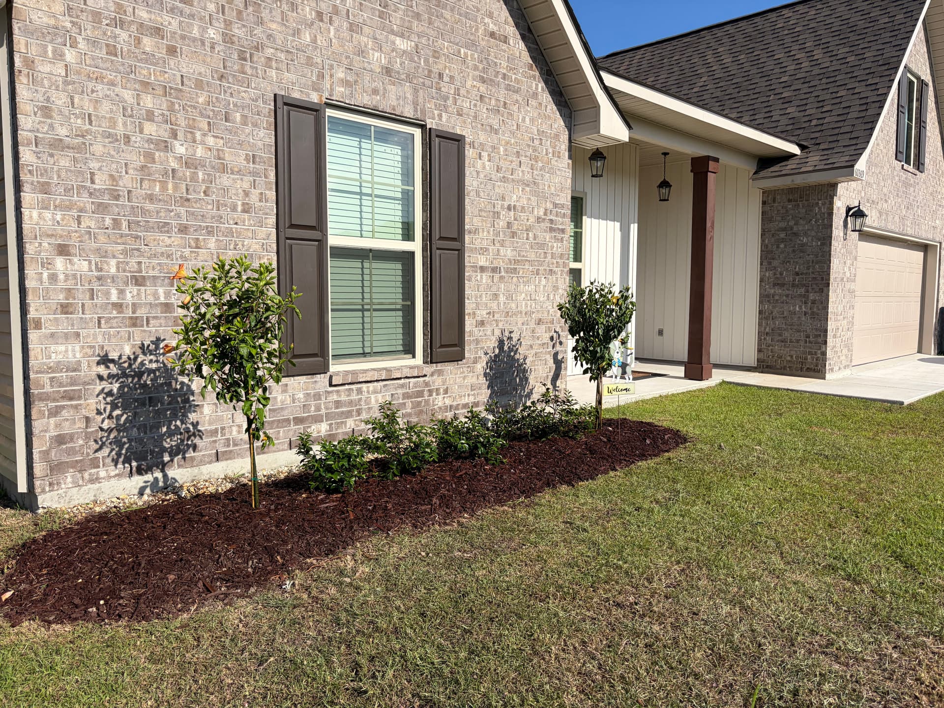 Gallery photos for Front Yard Landscape Tearout and Replant with Camellias and Hibiscus: Image #5