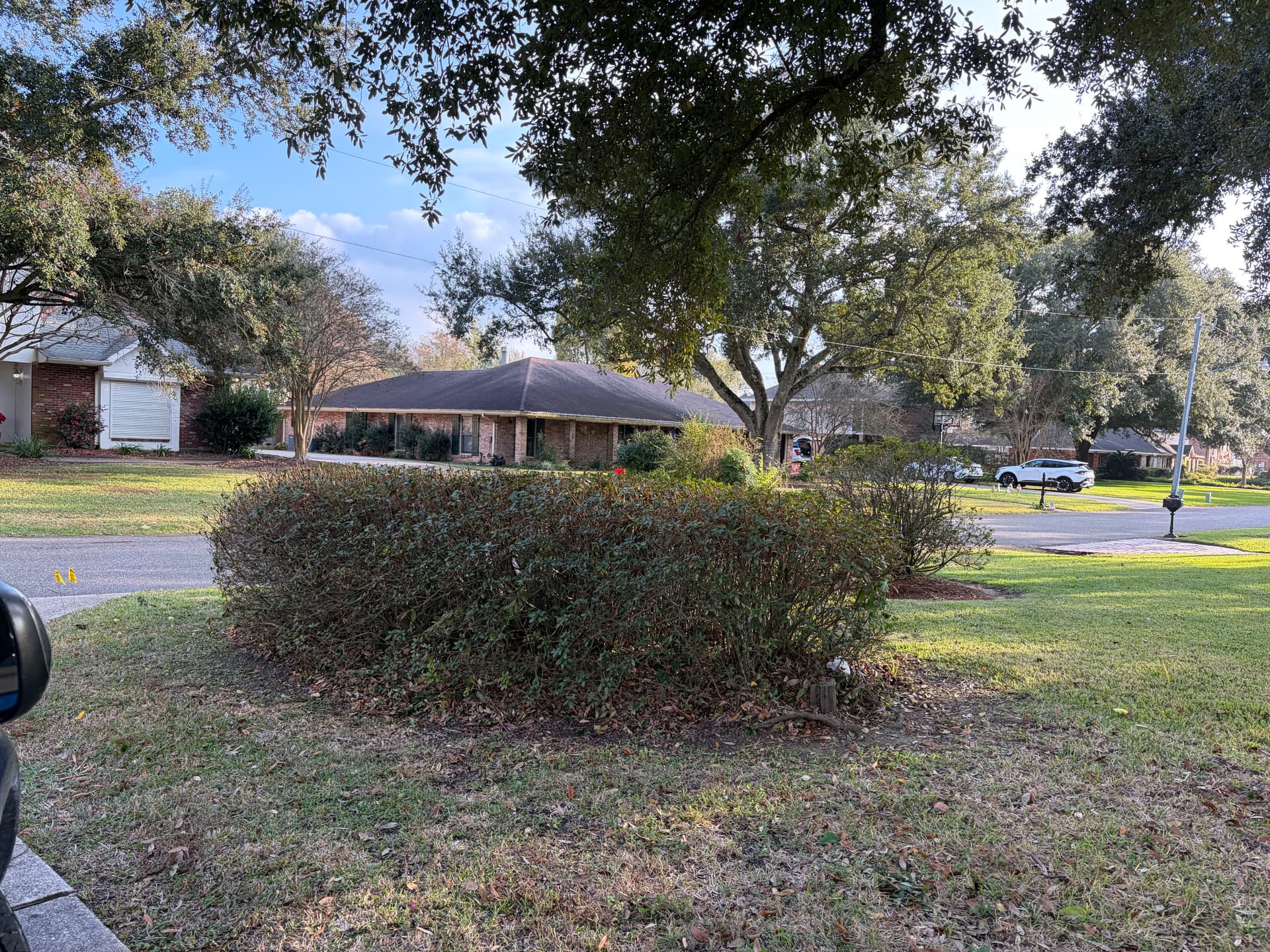 Gallery photos for Tidy and Trimmed: Holiday Ready Landscaping: Image #4