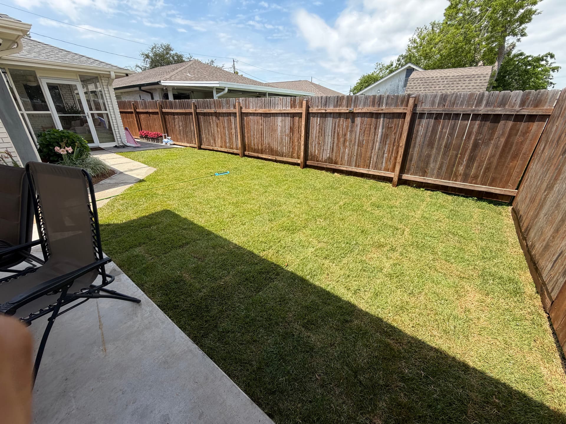 Gallery photos for St. Augustine Ripped Out, Palisade Zoysia Installed in Its Place: Image #3