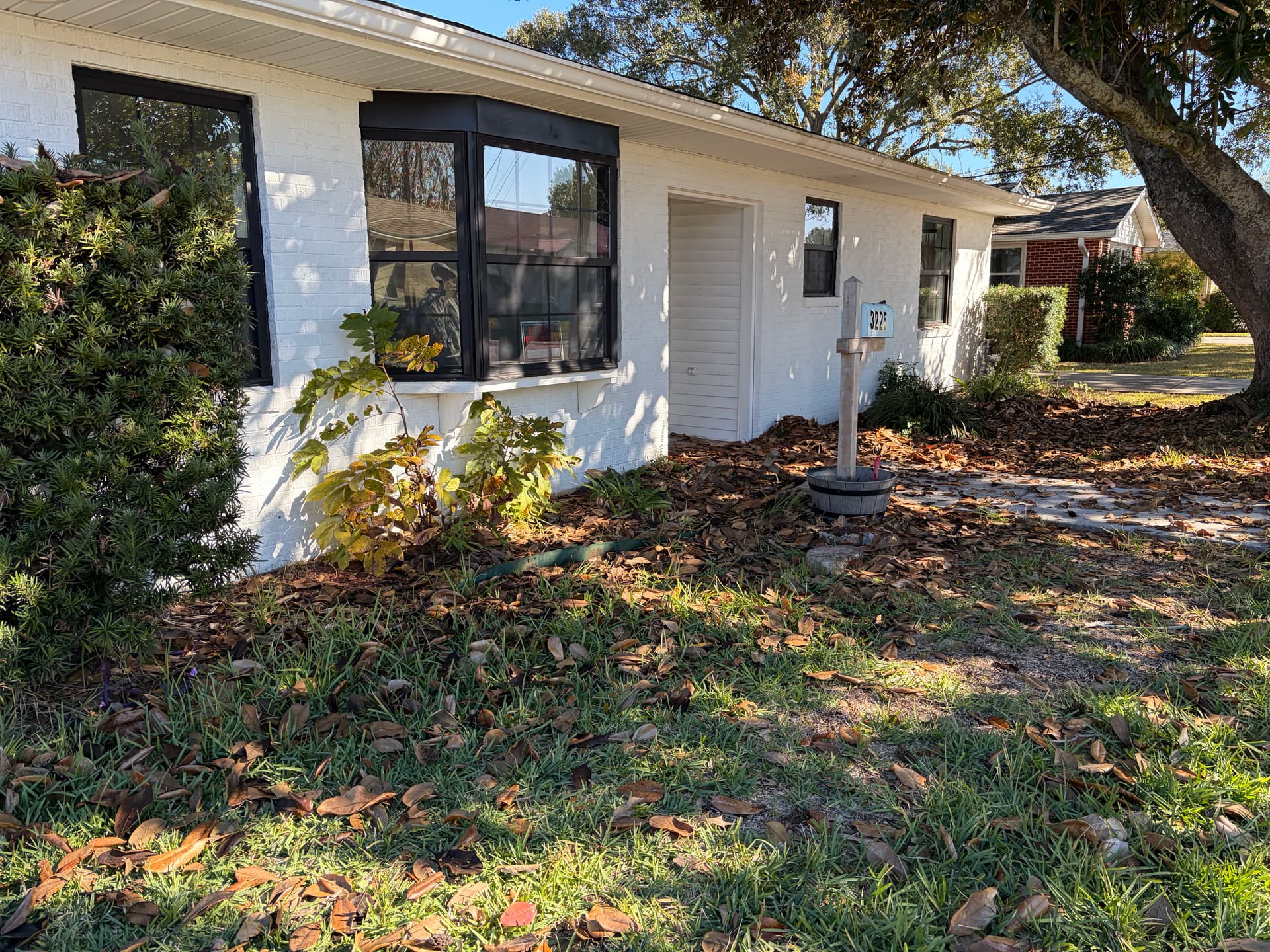 Gallery photos for Revamped Front Yard Landscape: Image #1