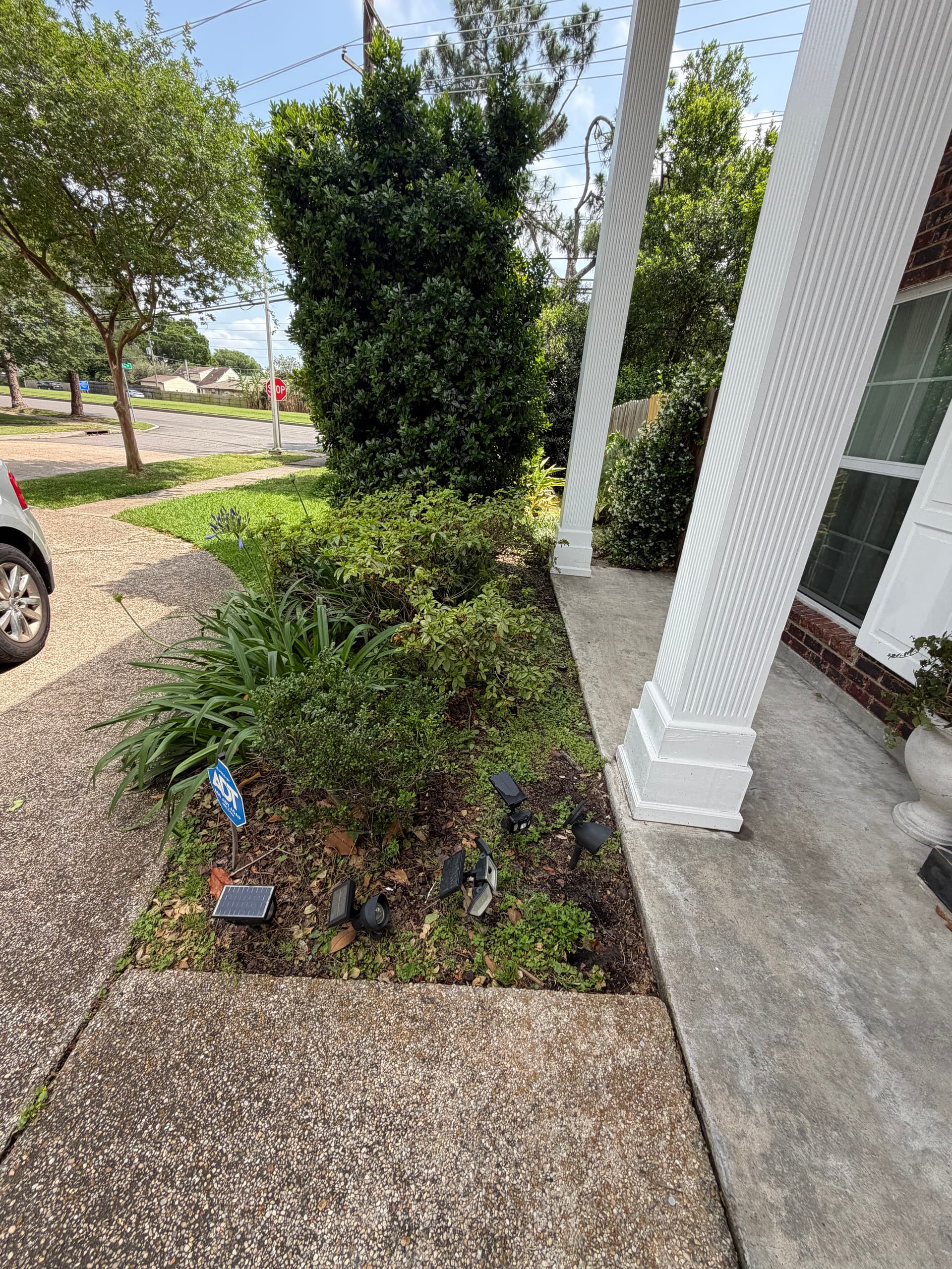 Front Landscape Cleanup with New Beds, Mulch and Tree Trimming image