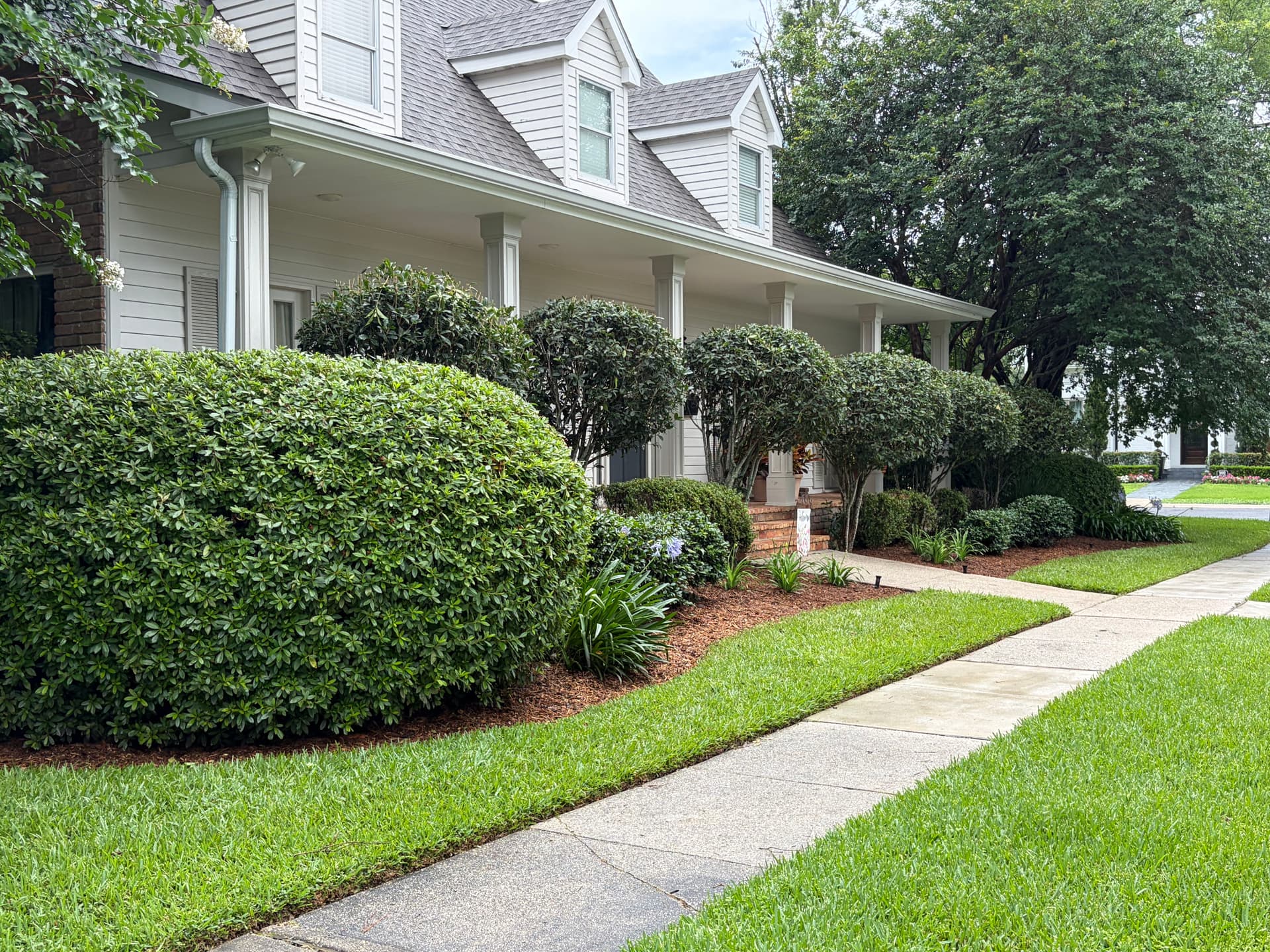 Gallery photos for Full Landscape Cleanup With Fresh Mulch and Shaped Shrubs: Image #6