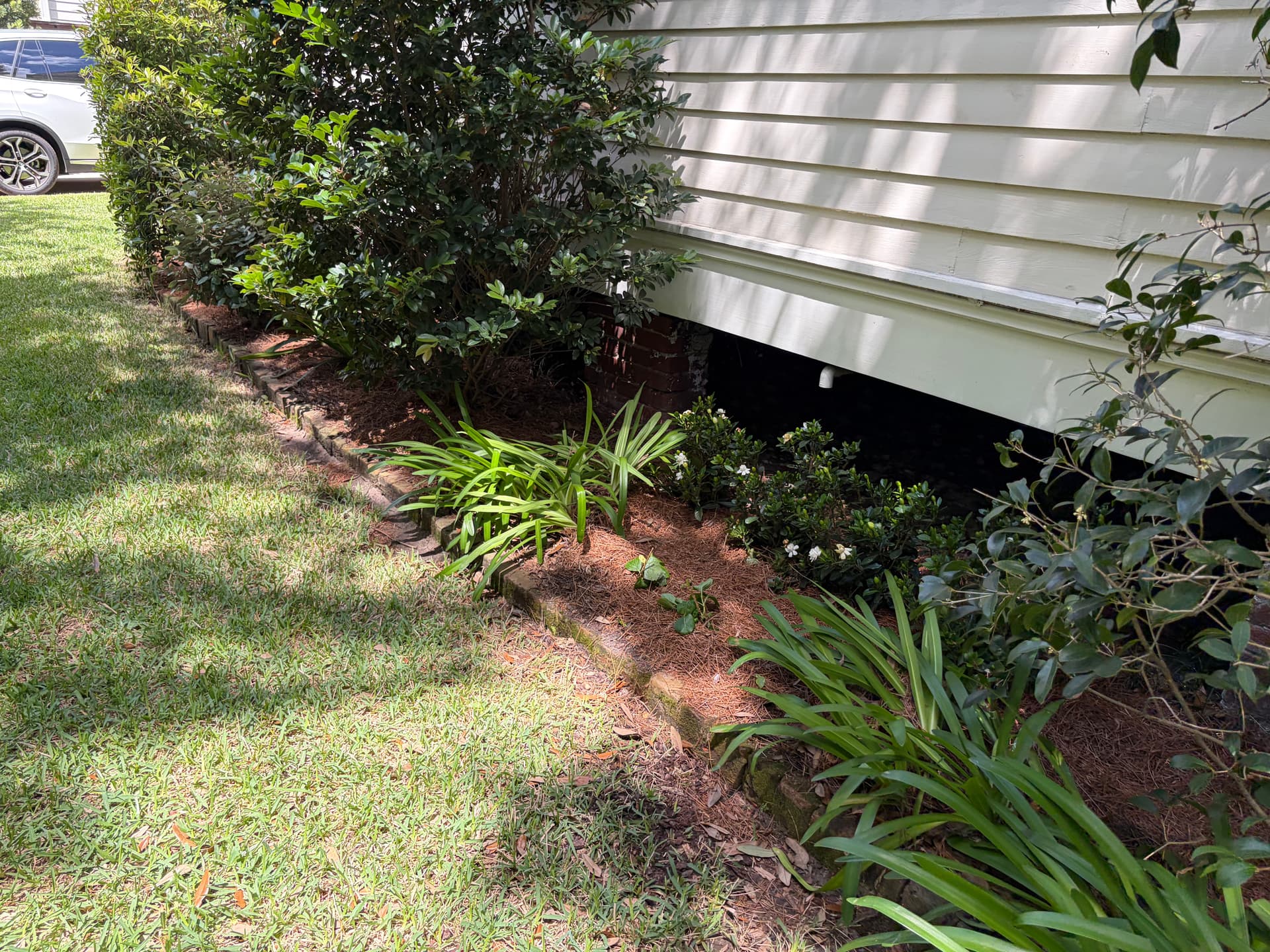 Gallery photos for Full Spring Cleanup on a Historic Property with Oak, Palms, and Garden Beds: Image #8