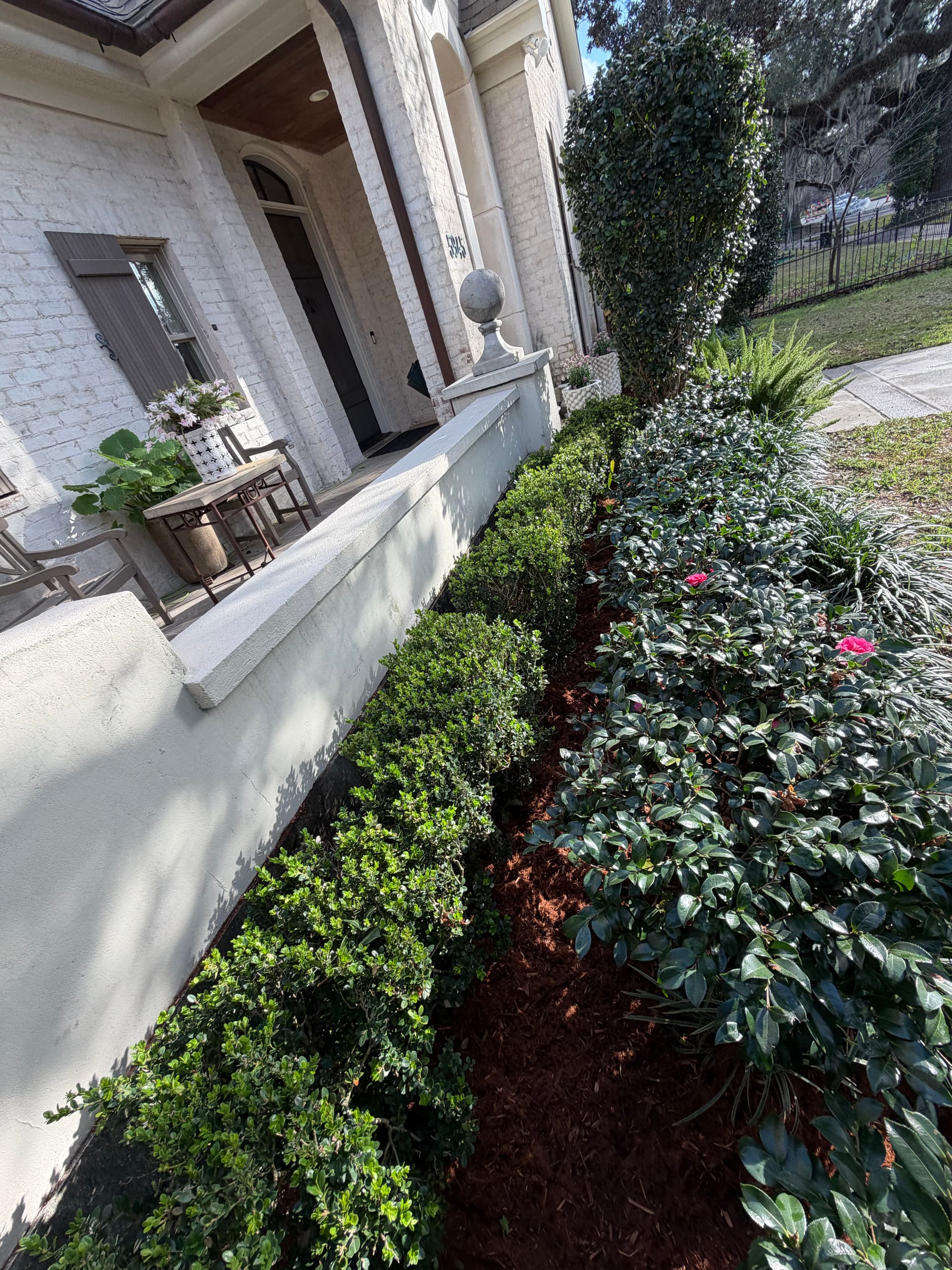 Gallery photos for Enhanced Curb Appeal with Fresh Mulch and Trimmed Shrubs: Image #4