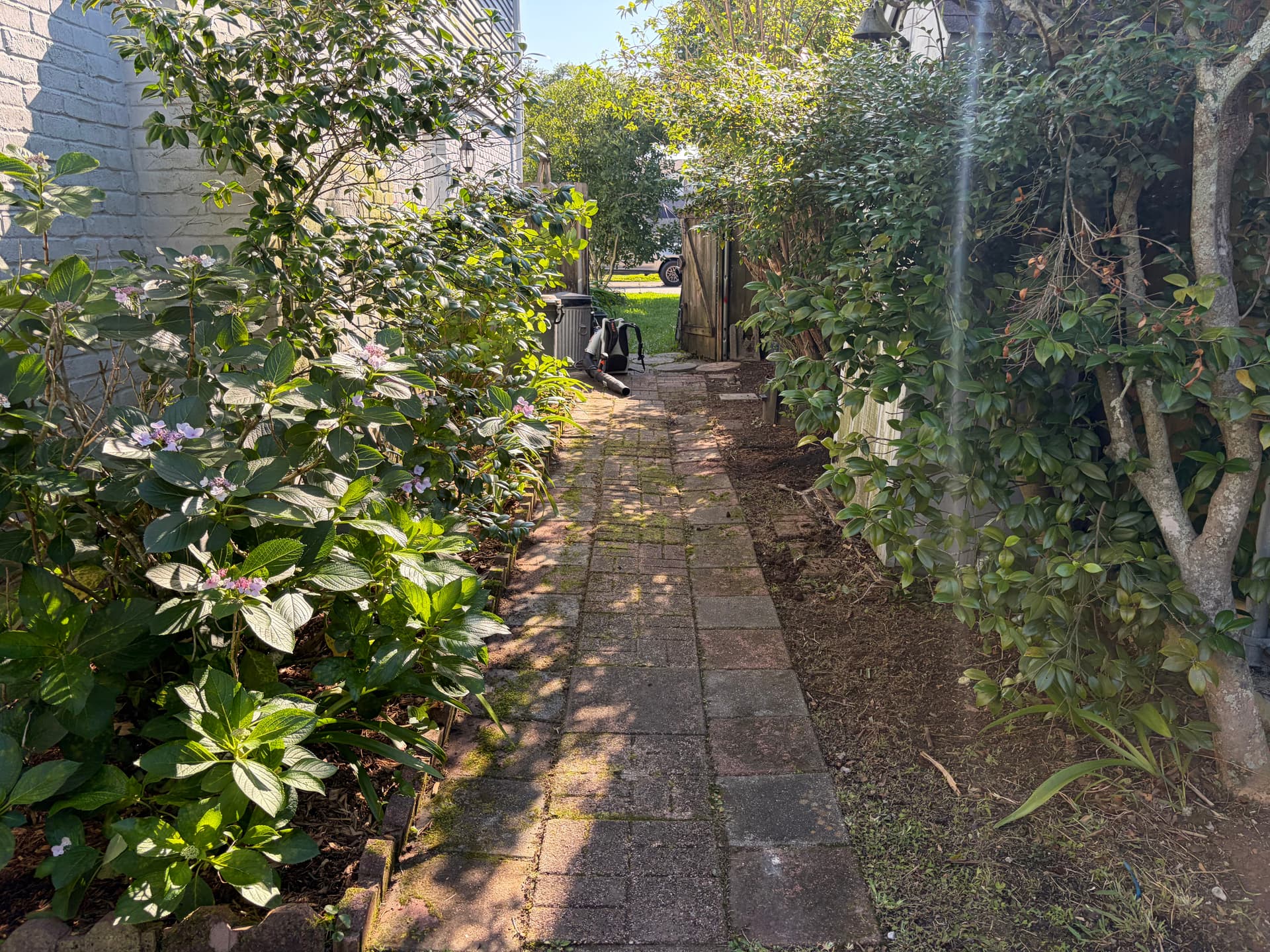 Gallery photos for Backyard Cleanup That Actually Makes a Difference: Image #9