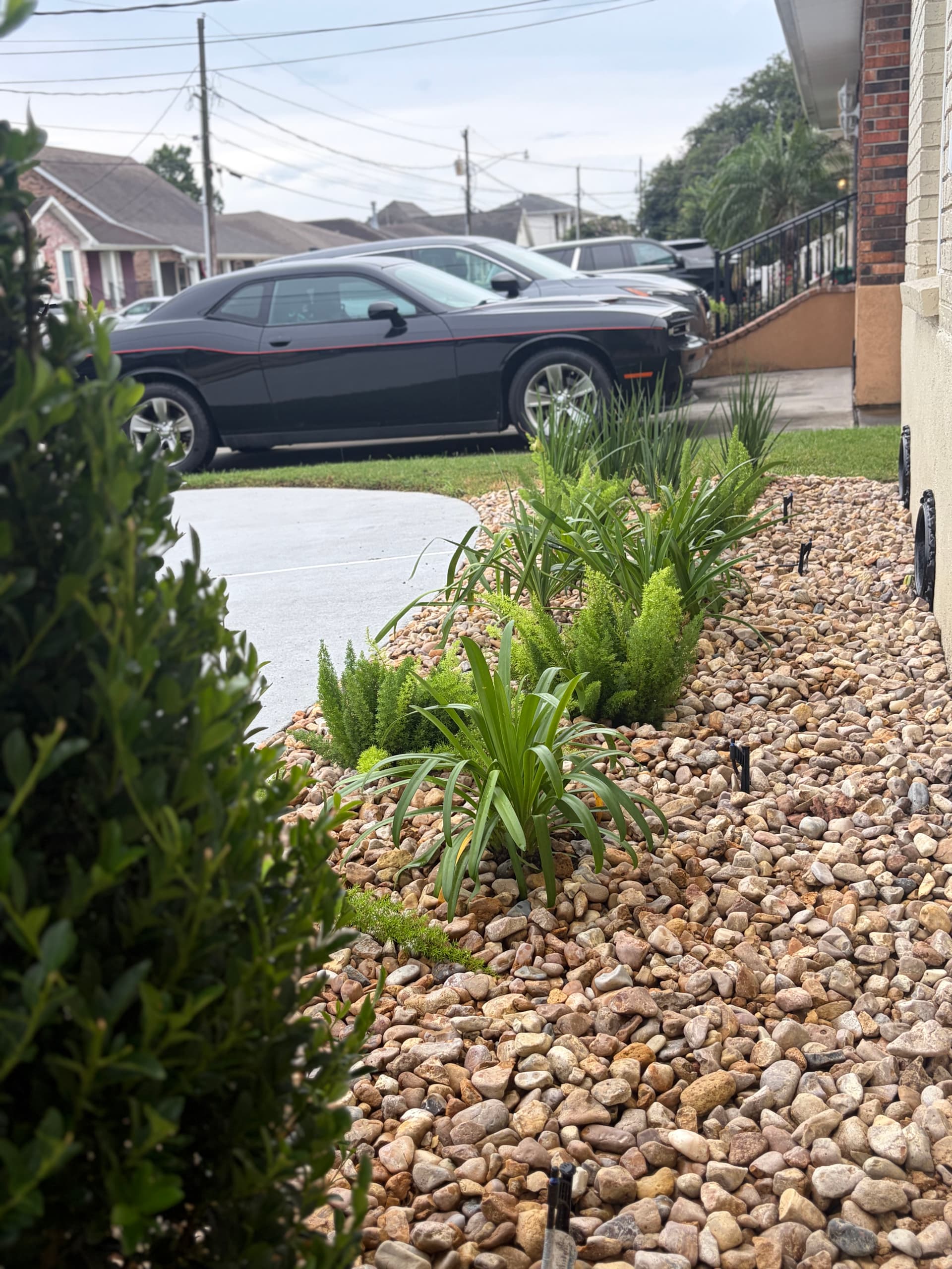 Gallery photos for Front Bed Rebuild with Low-Maintenance Plants and River Rock: Image #7