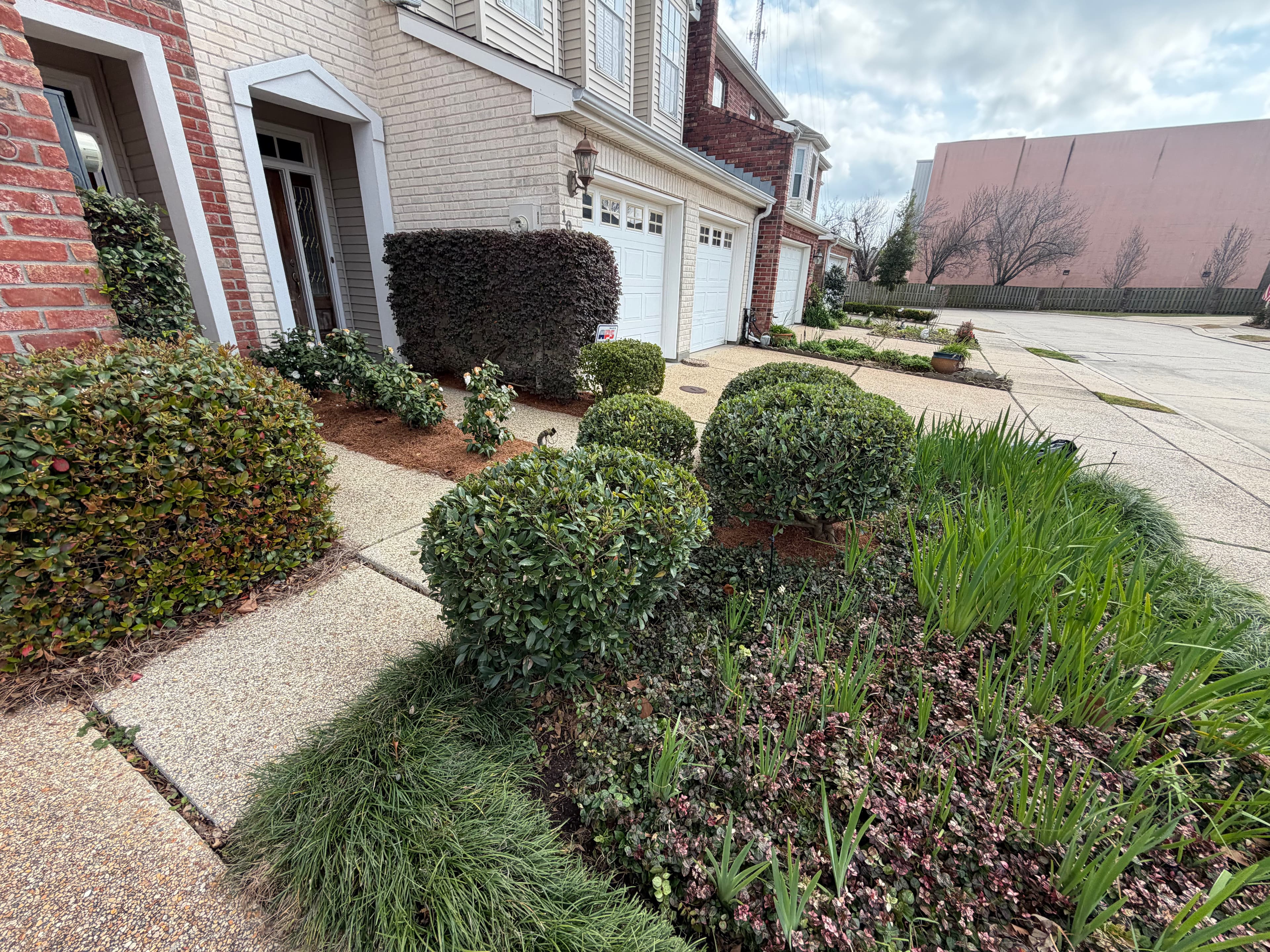 Project Suburban Front Yard Makeover in Old Metairie image