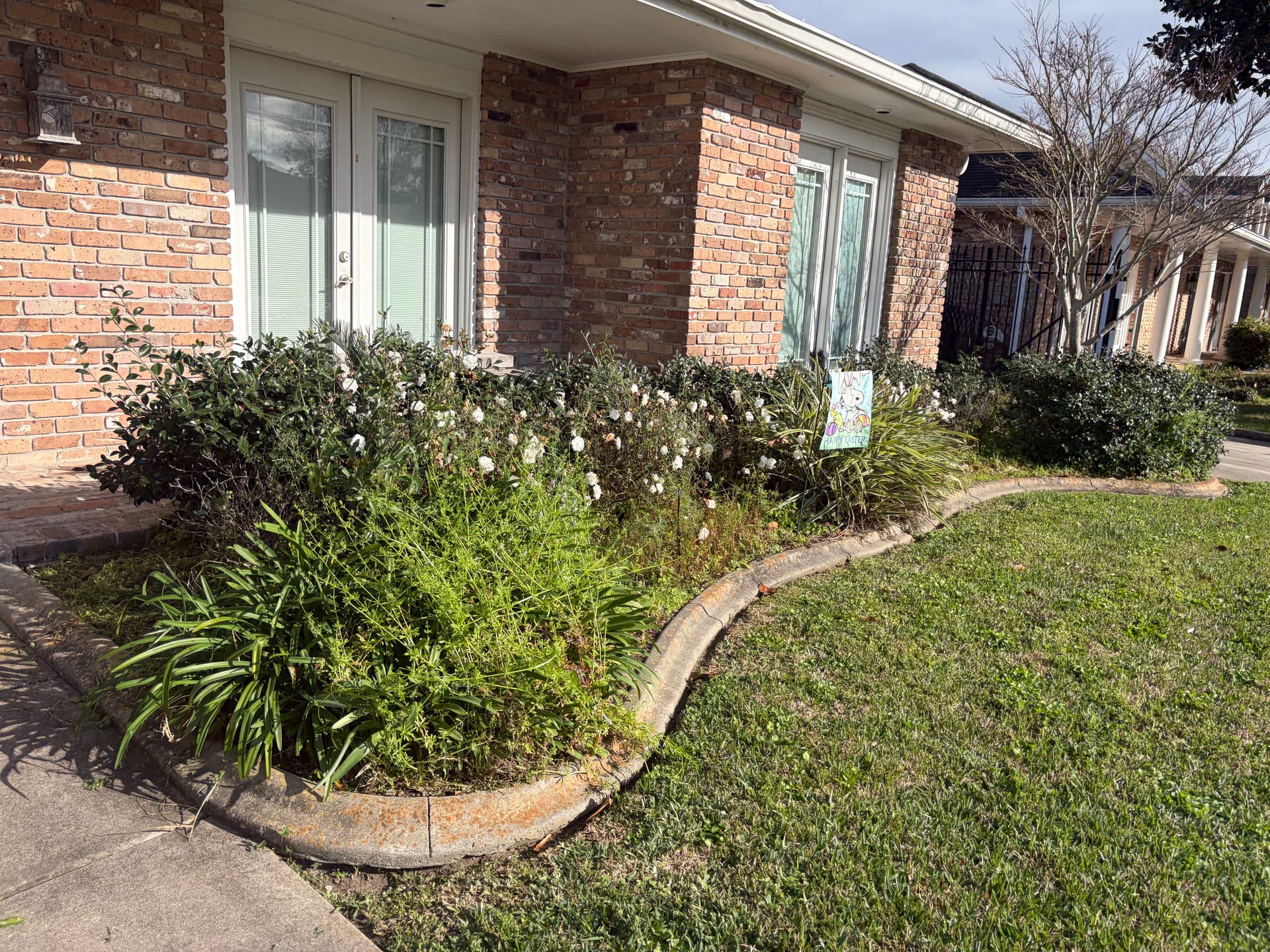 Gallery photos for Transforming Garden Spaces with Expert Lawn Maintenance: Image #2