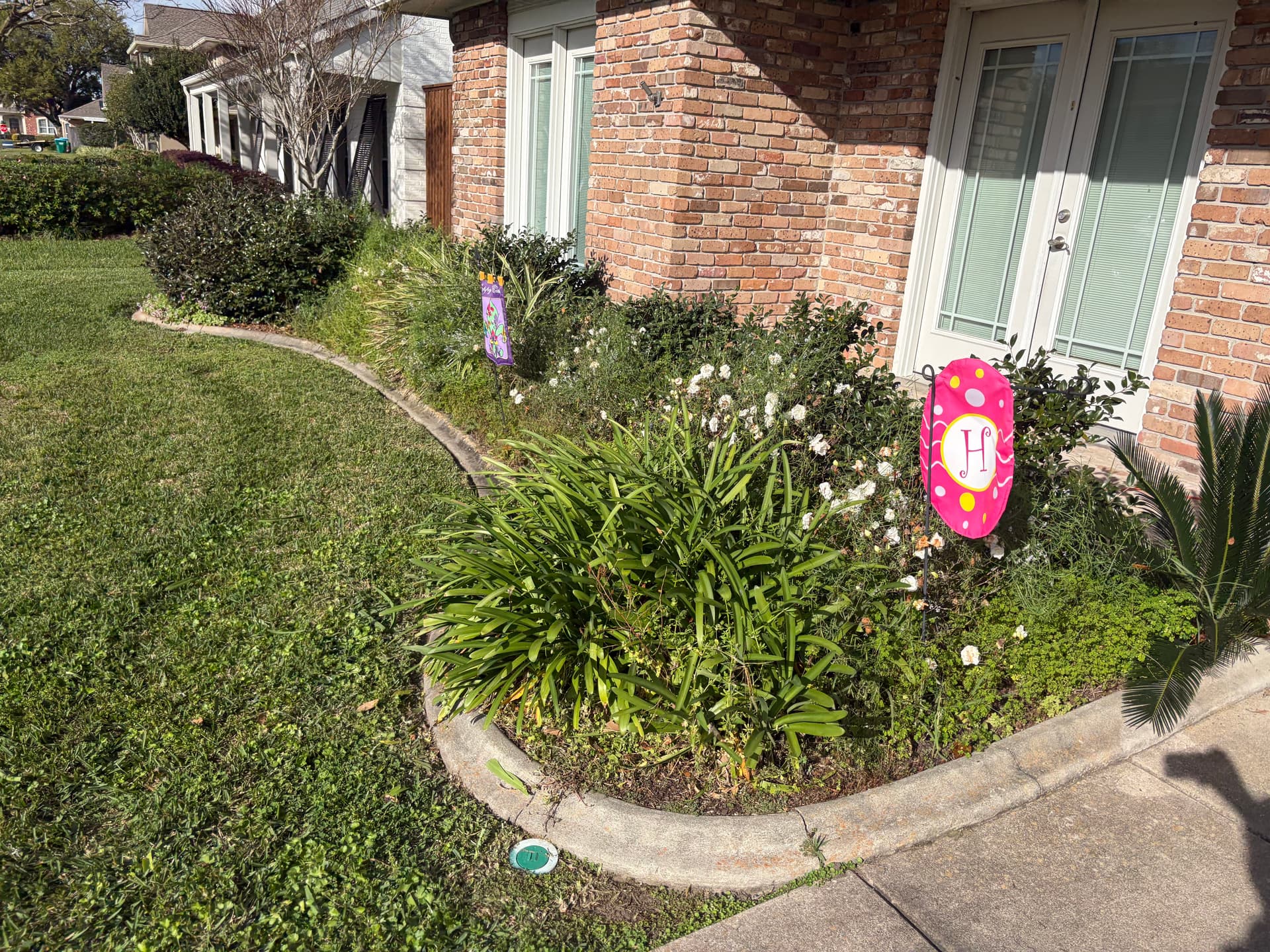 Gallery photos for Transforming Garden Spaces with Expert Lawn Maintenance: Image #1