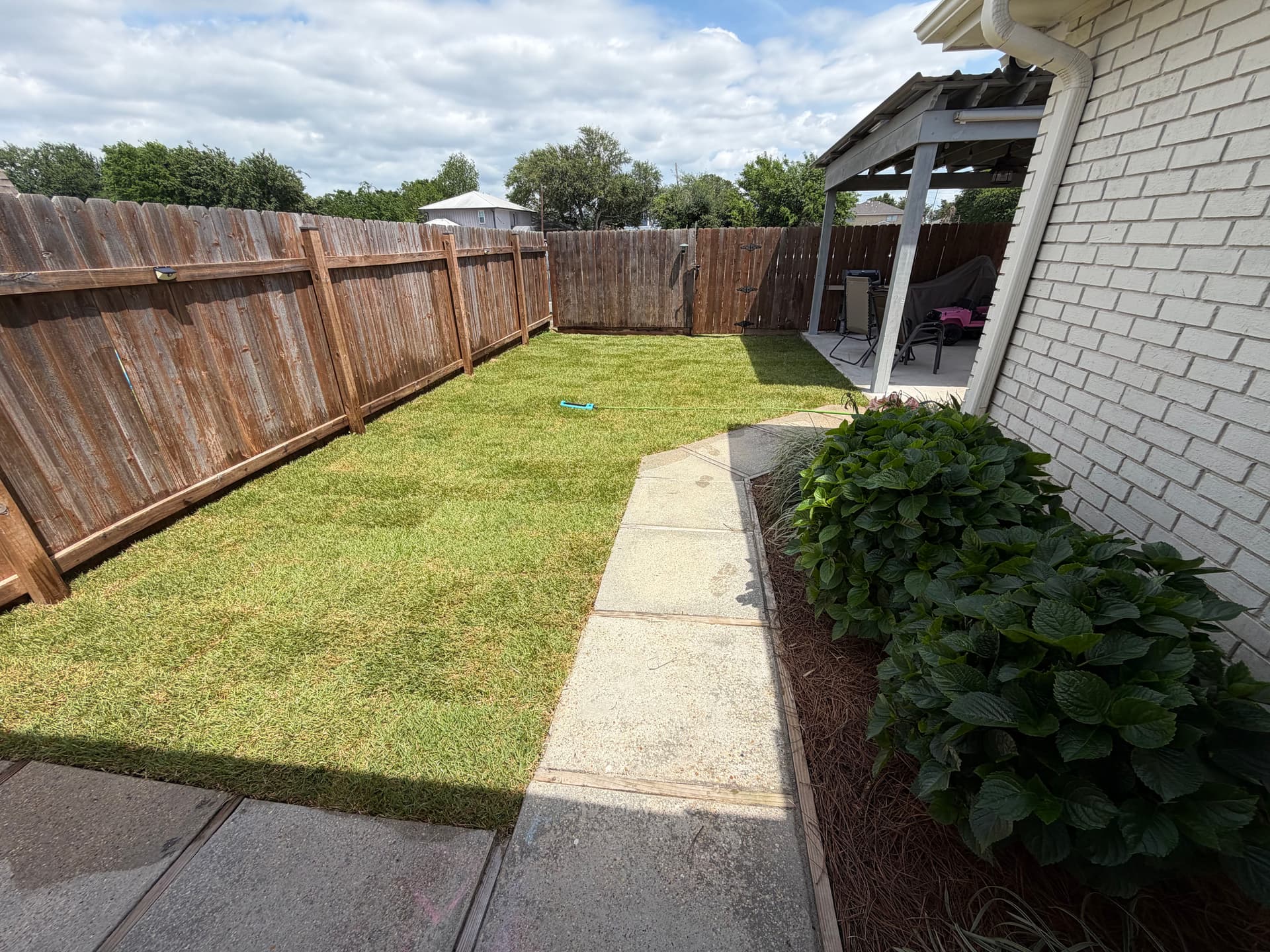 Gallery photos for St. Augustine Ripped Out, Palisade Zoysia Installed in Its Place: Image #1