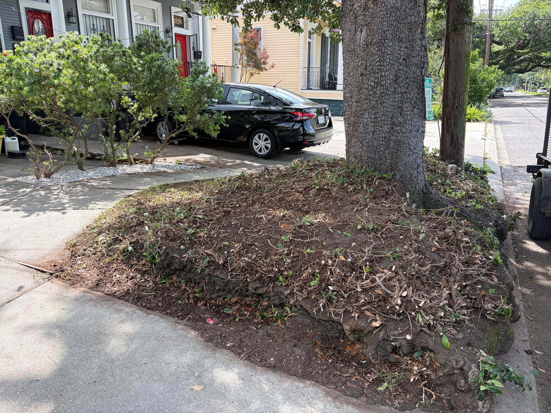 Gallery photos for Oak Trimming, Shrub Cleanup and Rock Bed Installation Done Right: Image #2