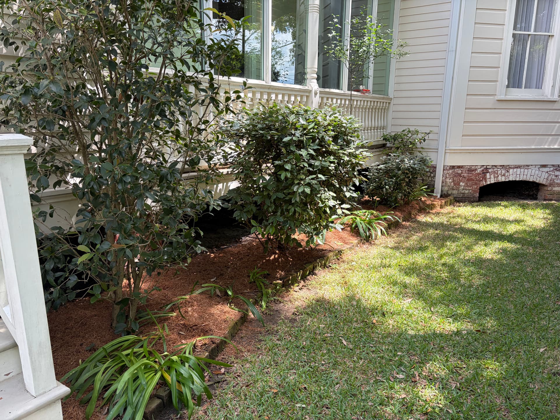Gallery photos for Full Spring Cleanup on a Historic Property with Oak, Palms, and Garden Beds: Image #7