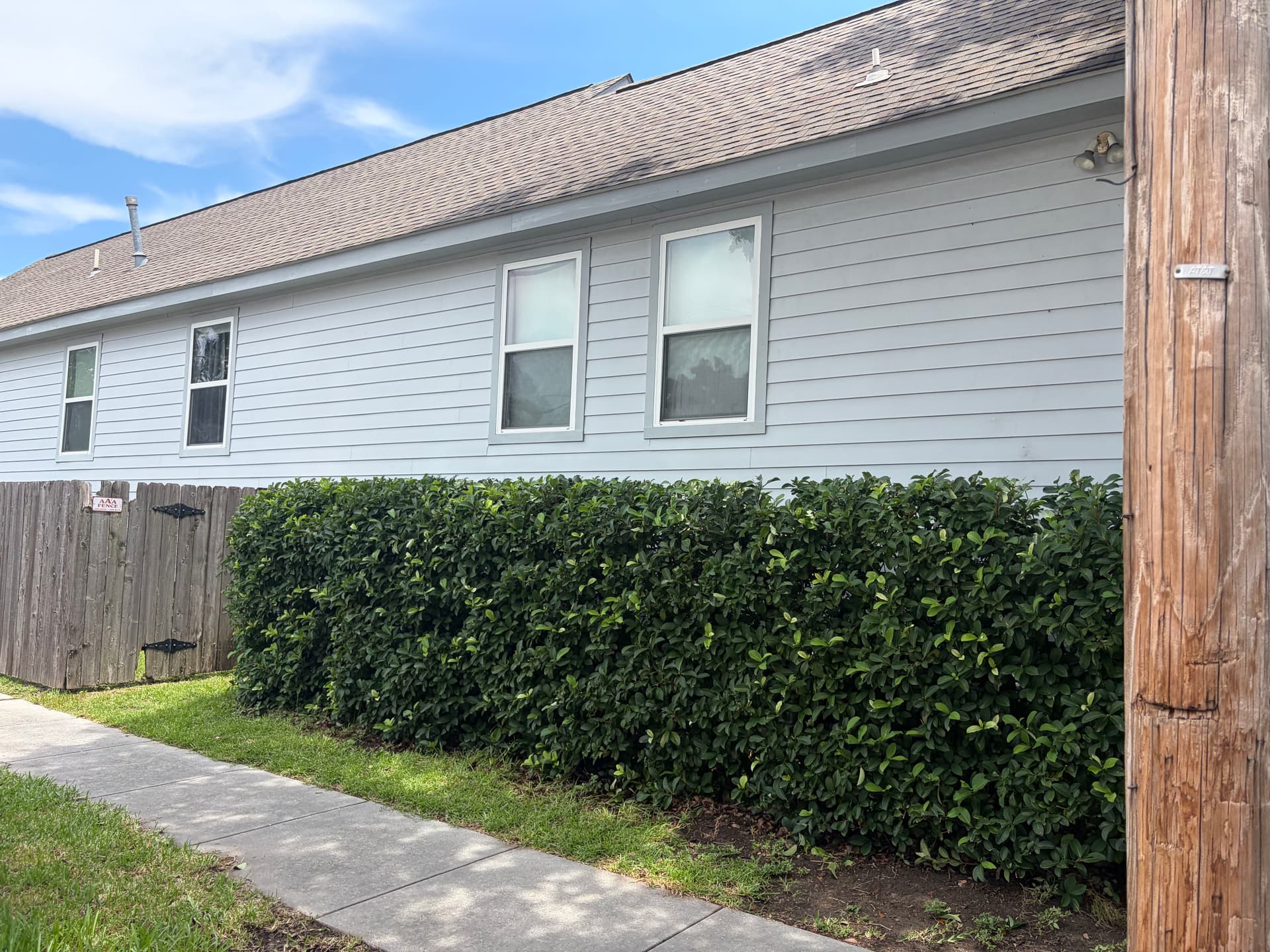 Gallery photos for New Orleans Hedge Trimming That Actually Makes a Difference: Image #3