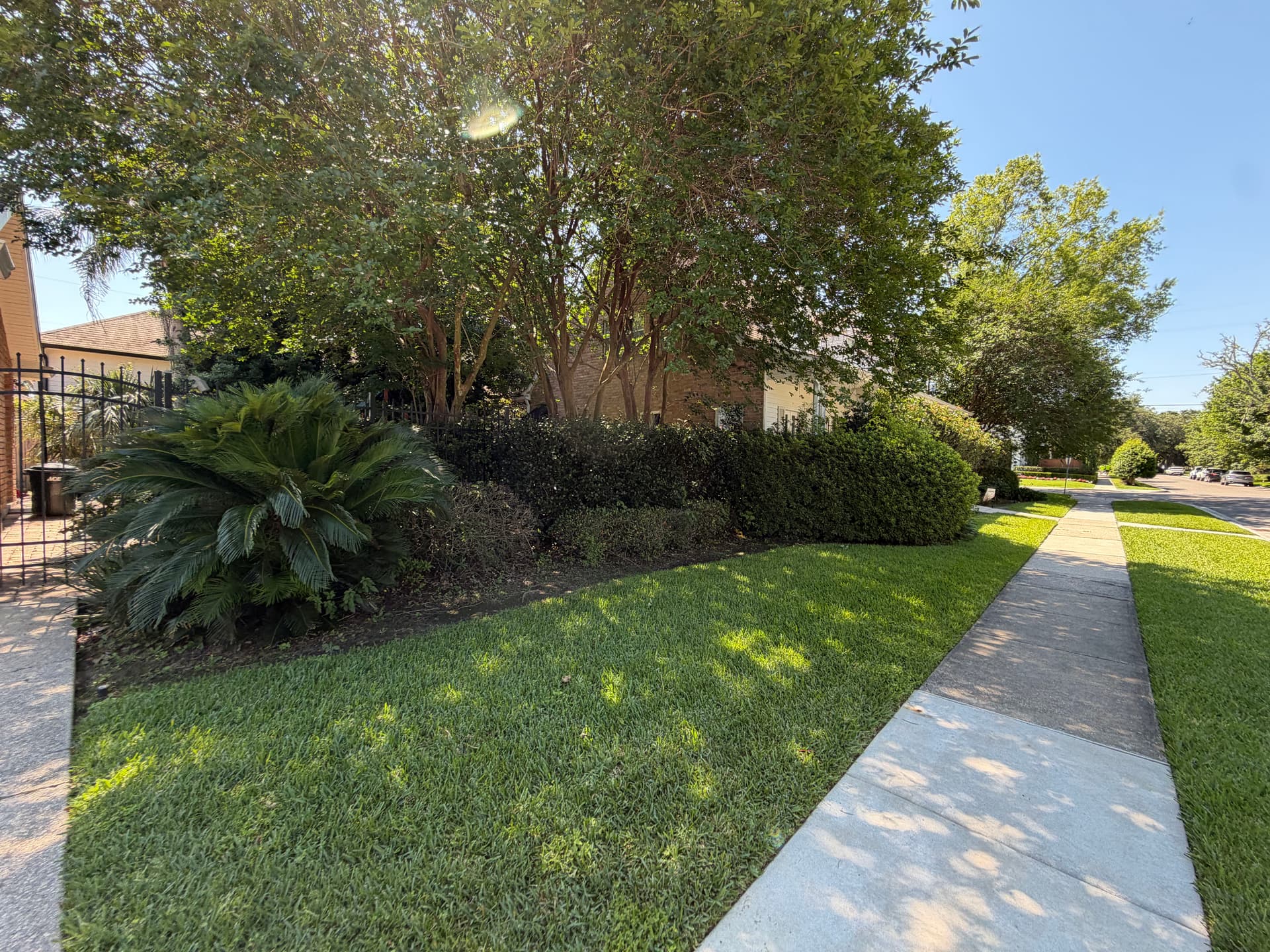 Gallery photos for Full Landscape Cleanup With Fresh Mulch and Shaped Shrubs: Image #2