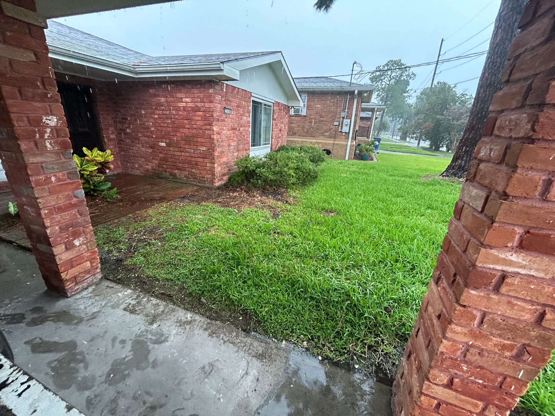 Garden Makeover in New Orleans image