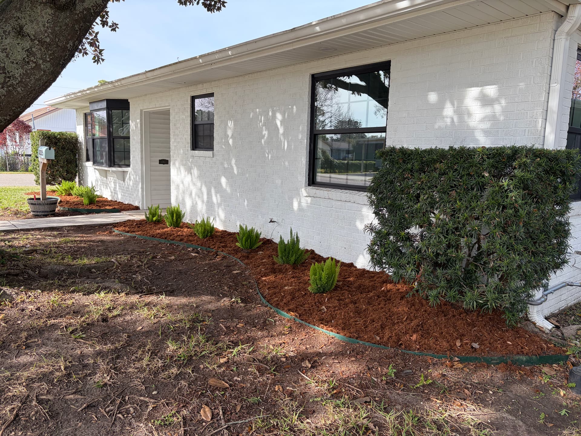 Gallery photos for Revamped Front Yard Landscape: Image #6