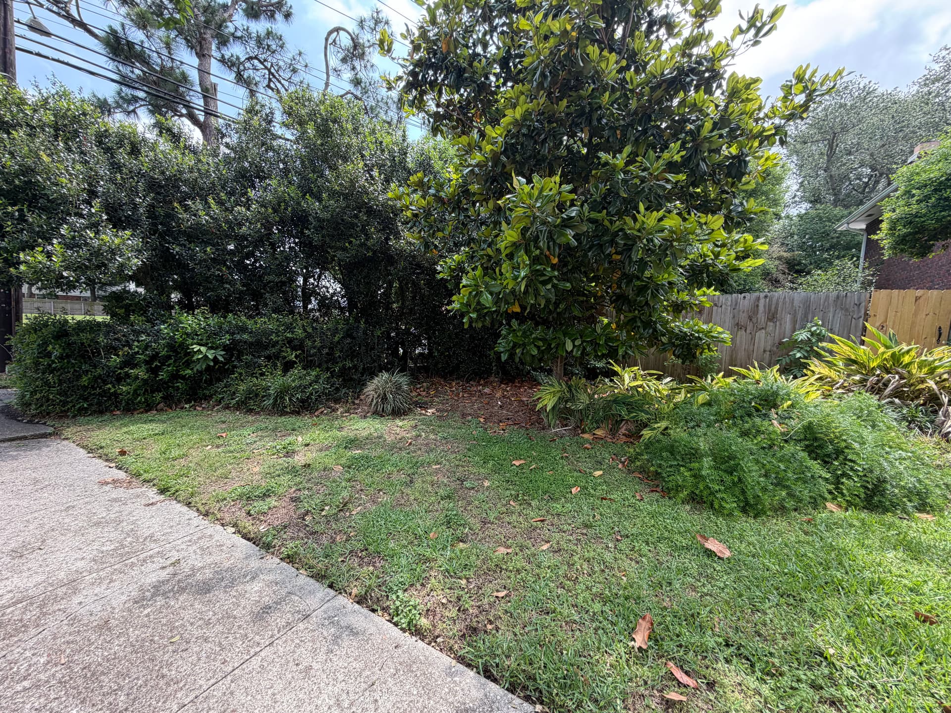 Gallery photos for Front Landscape Cleanup with New Beds, Mulch and Tree Trimming: Image #4