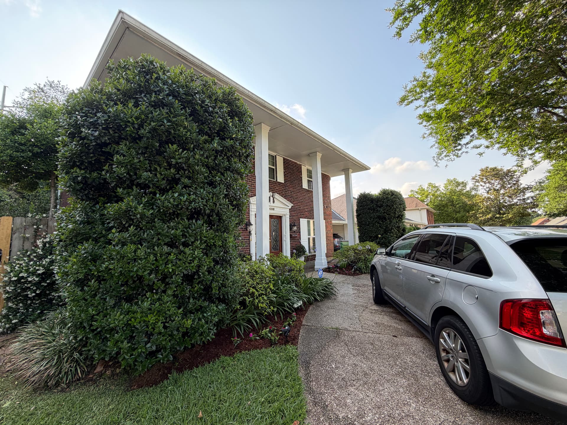 Gallery photos for Front Landscape Cleanup with New Beds, Mulch and Tree Trimming: Image #9