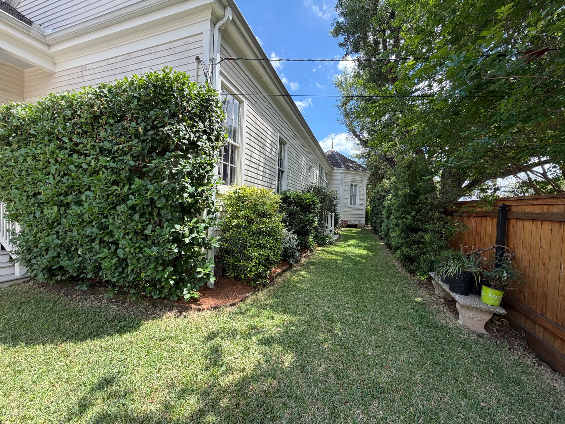 Gallery photos for Full Spring Cleanup on a Historic Property with Oak, Palms, and Garden Beds: Image #5