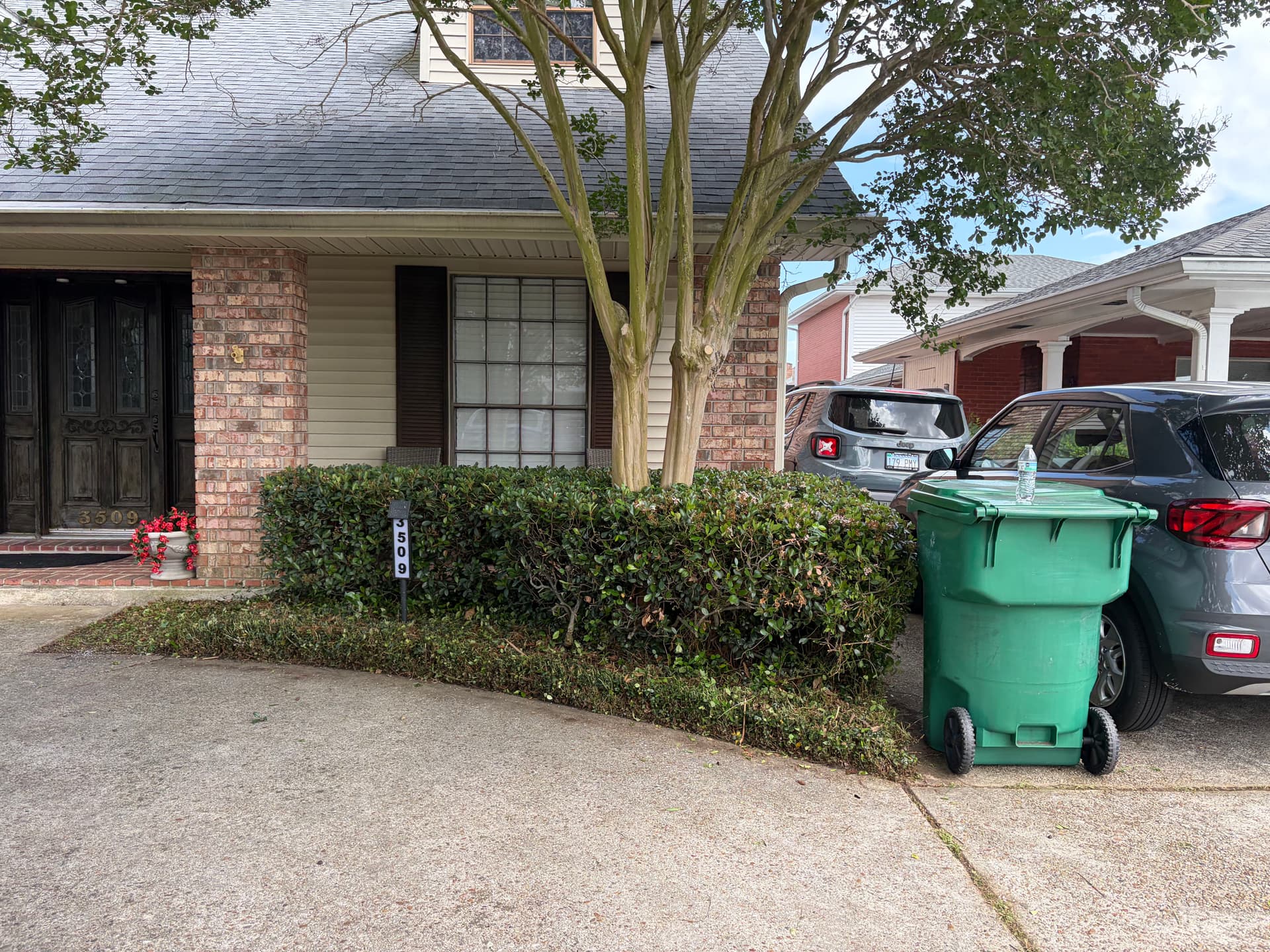 Gallery photos for Comprehensive Yard Cleanup and Transformation: Image #5