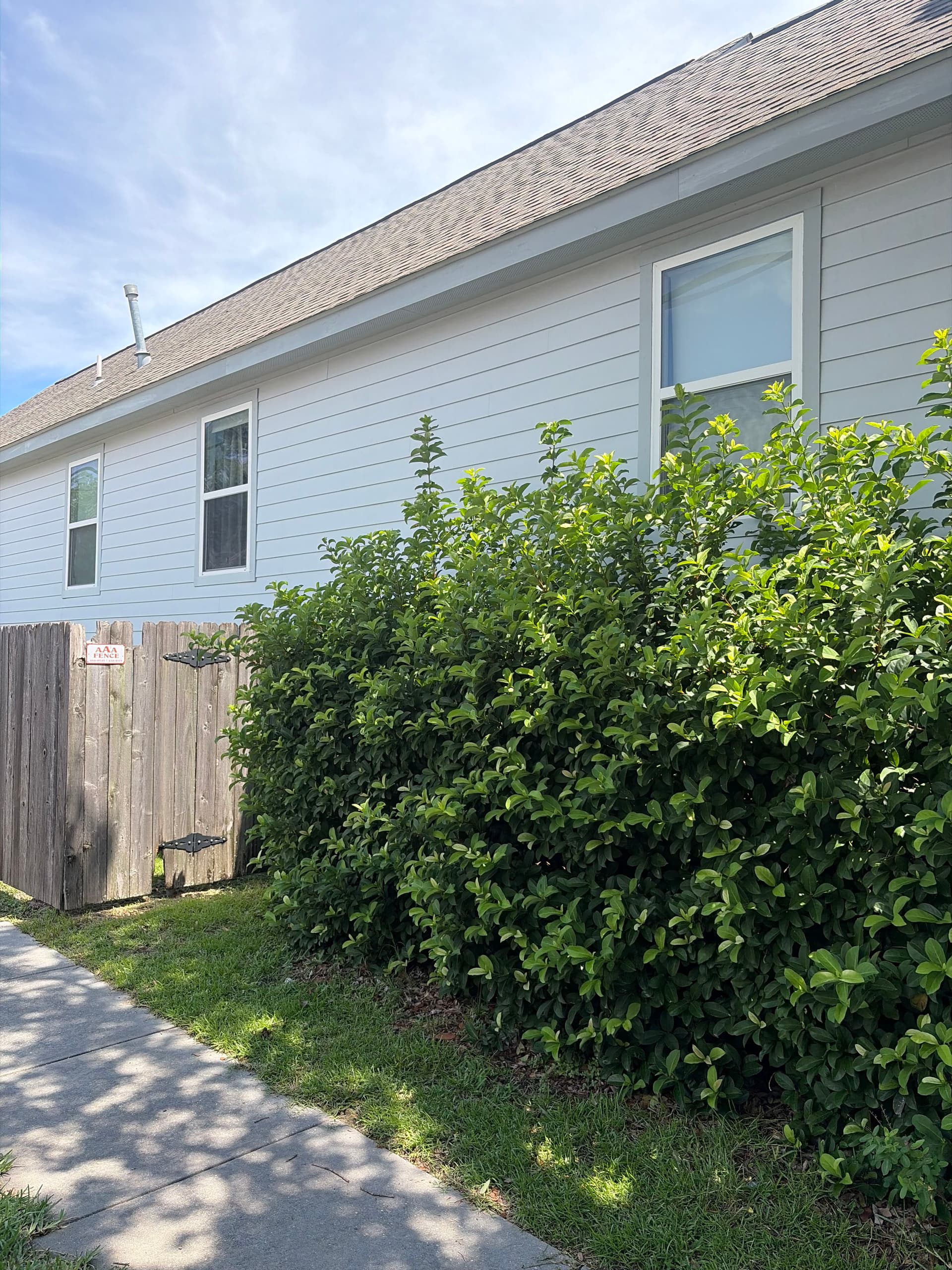 Gallery photos for New Orleans Hedge Trimming That Actually Makes a Difference: Image #1