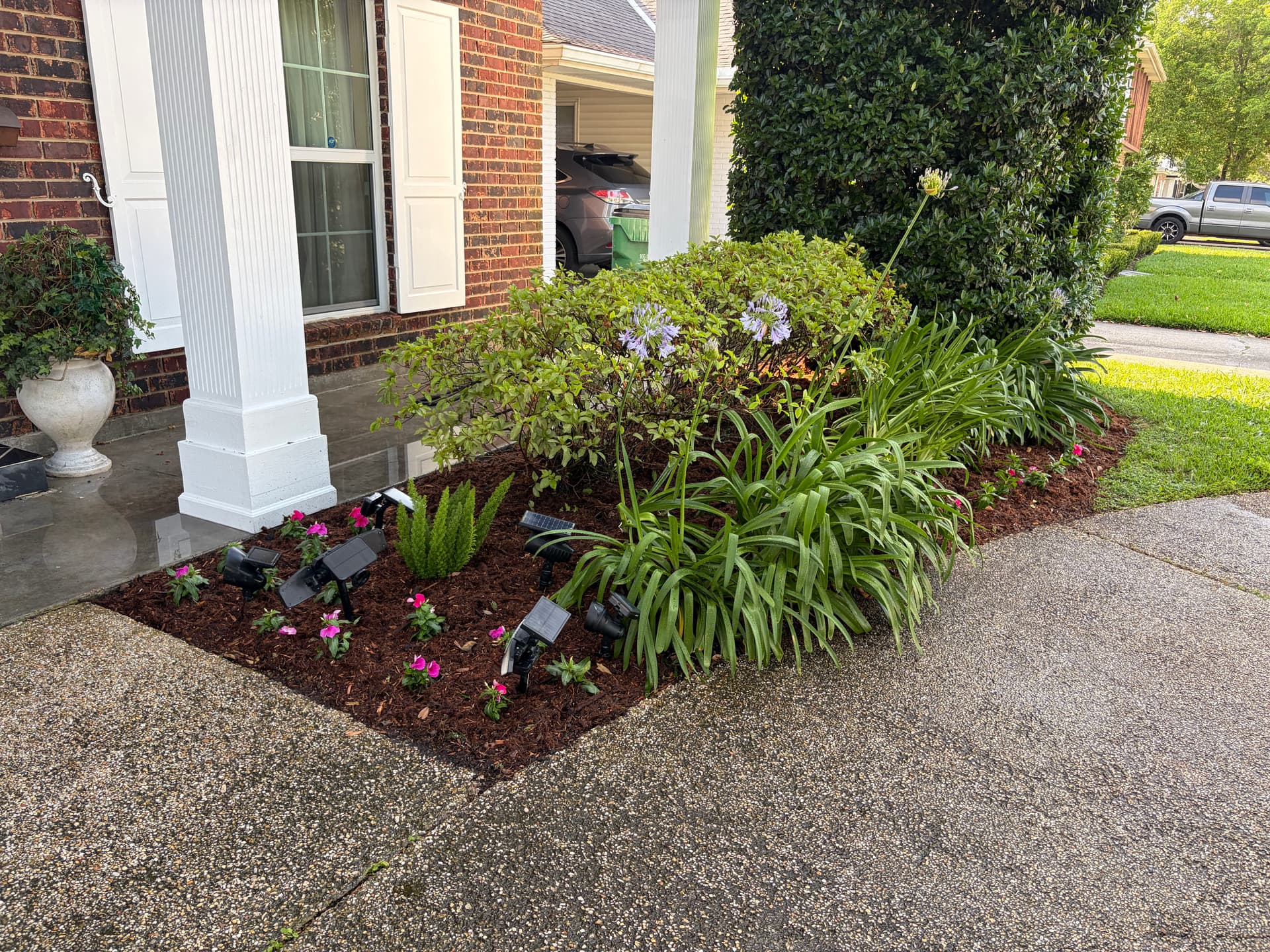 Gallery photos for Front Landscape Cleanup with New Beds, Mulch and Tree Trimming: Image #6