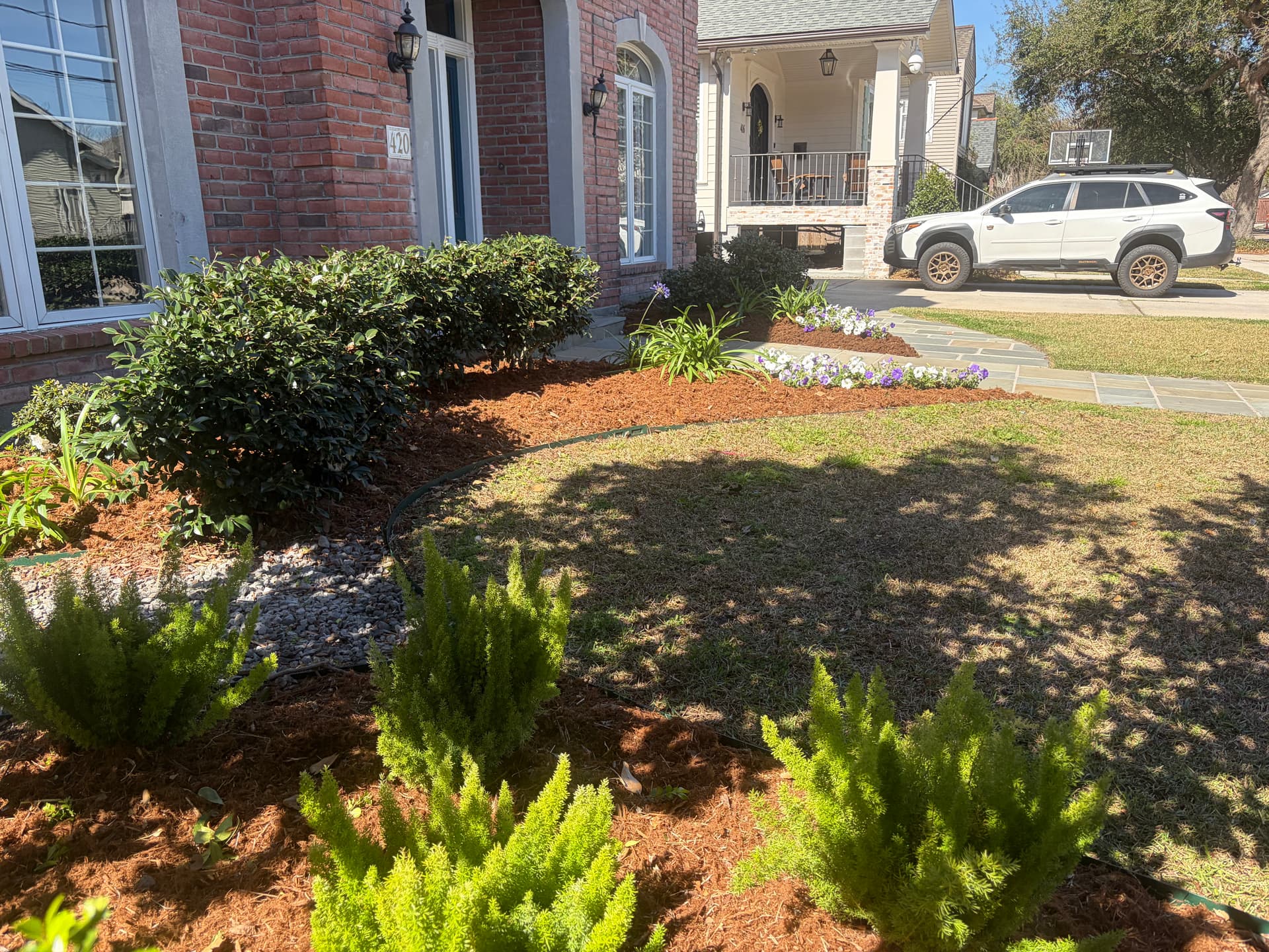 Gallery photos for Garden Makeover with Fresh Planting: Image #6