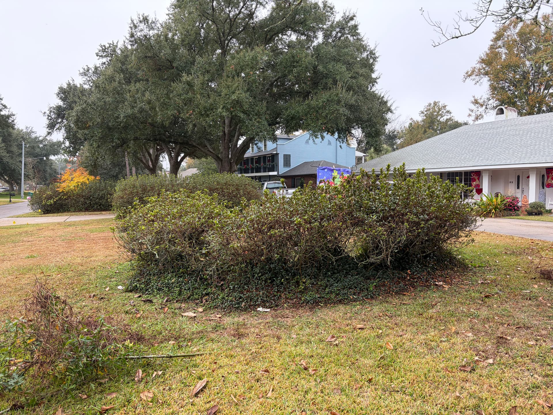 Gallery photos for Tidy and Trimmed: Holiday Ready Landscaping: Image #7