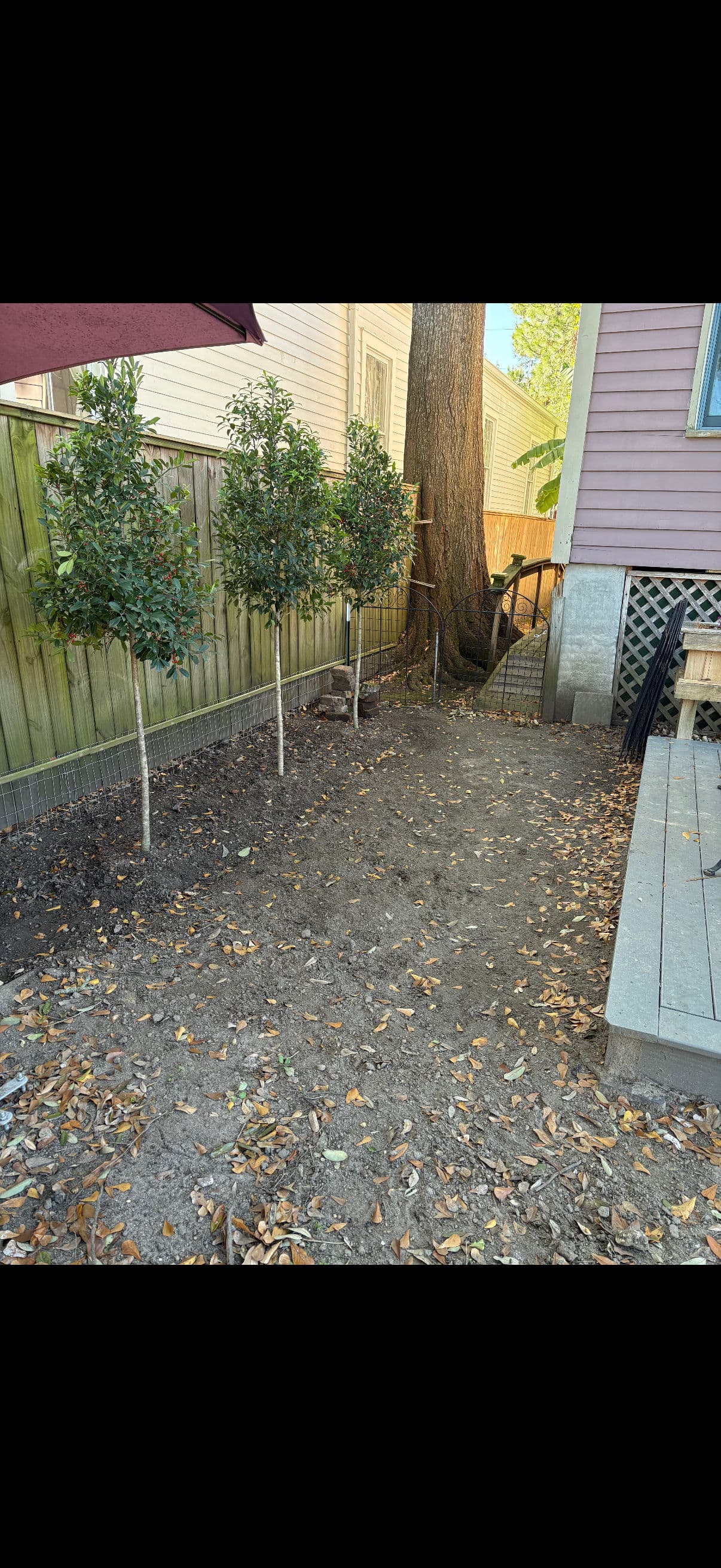 Creating a Patio Oasis with Paver Expansion