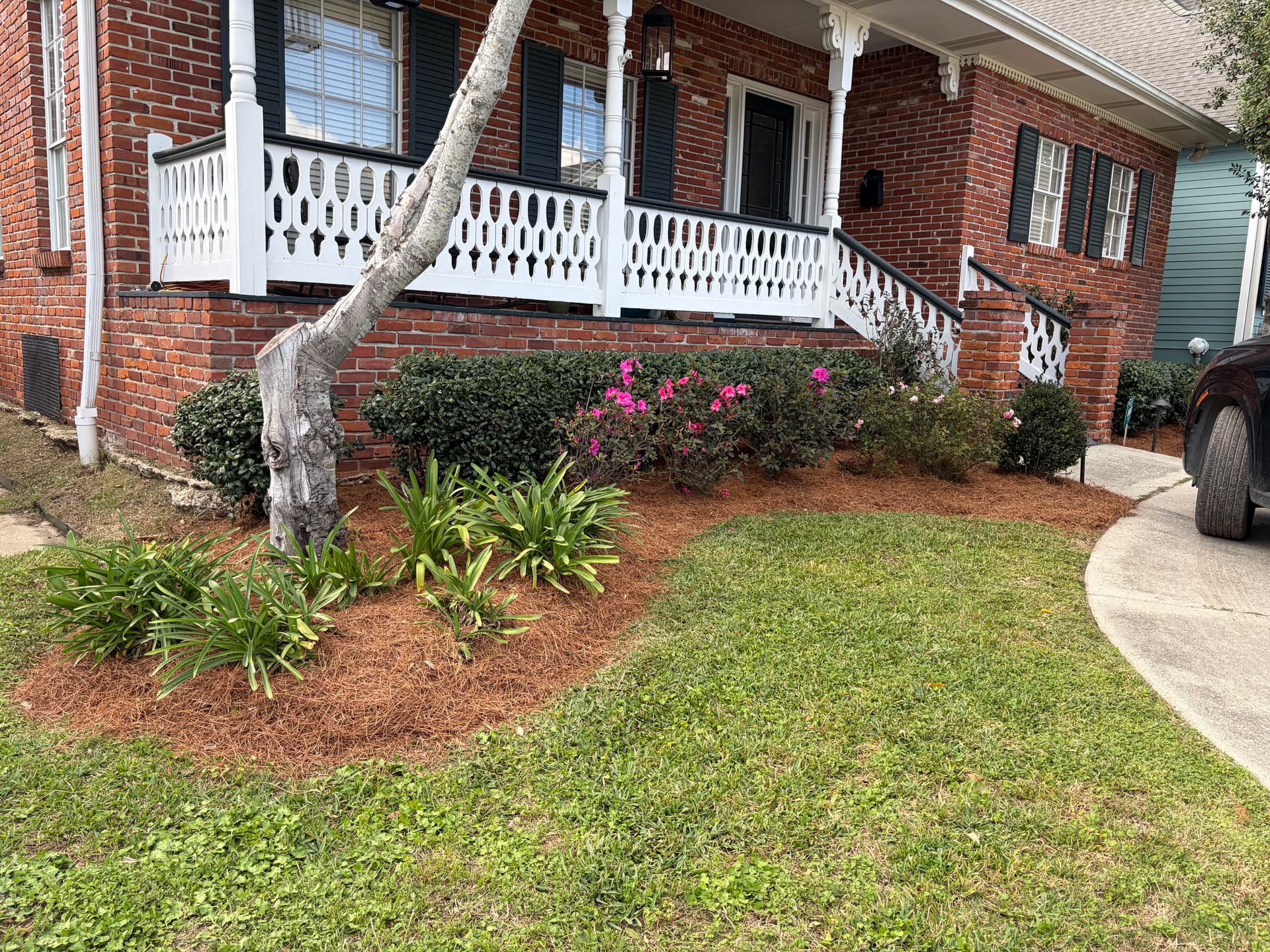 Gallery photos for Front Yard Transformation with Mulching and Trimming: Image #7