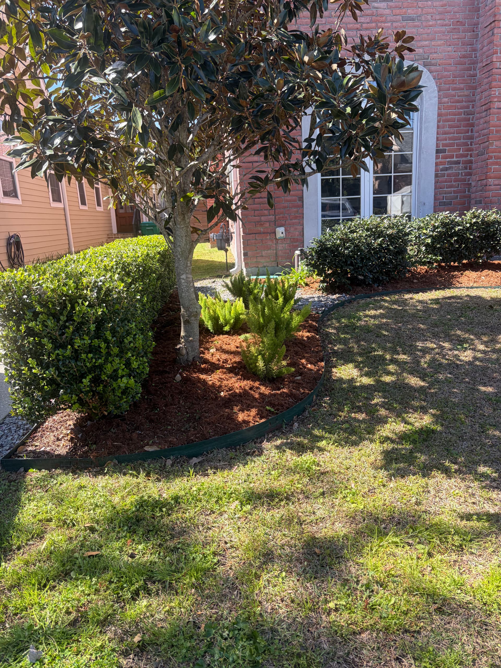 Gallery photos for Garden Makeover with Fresh Planting: Image #3