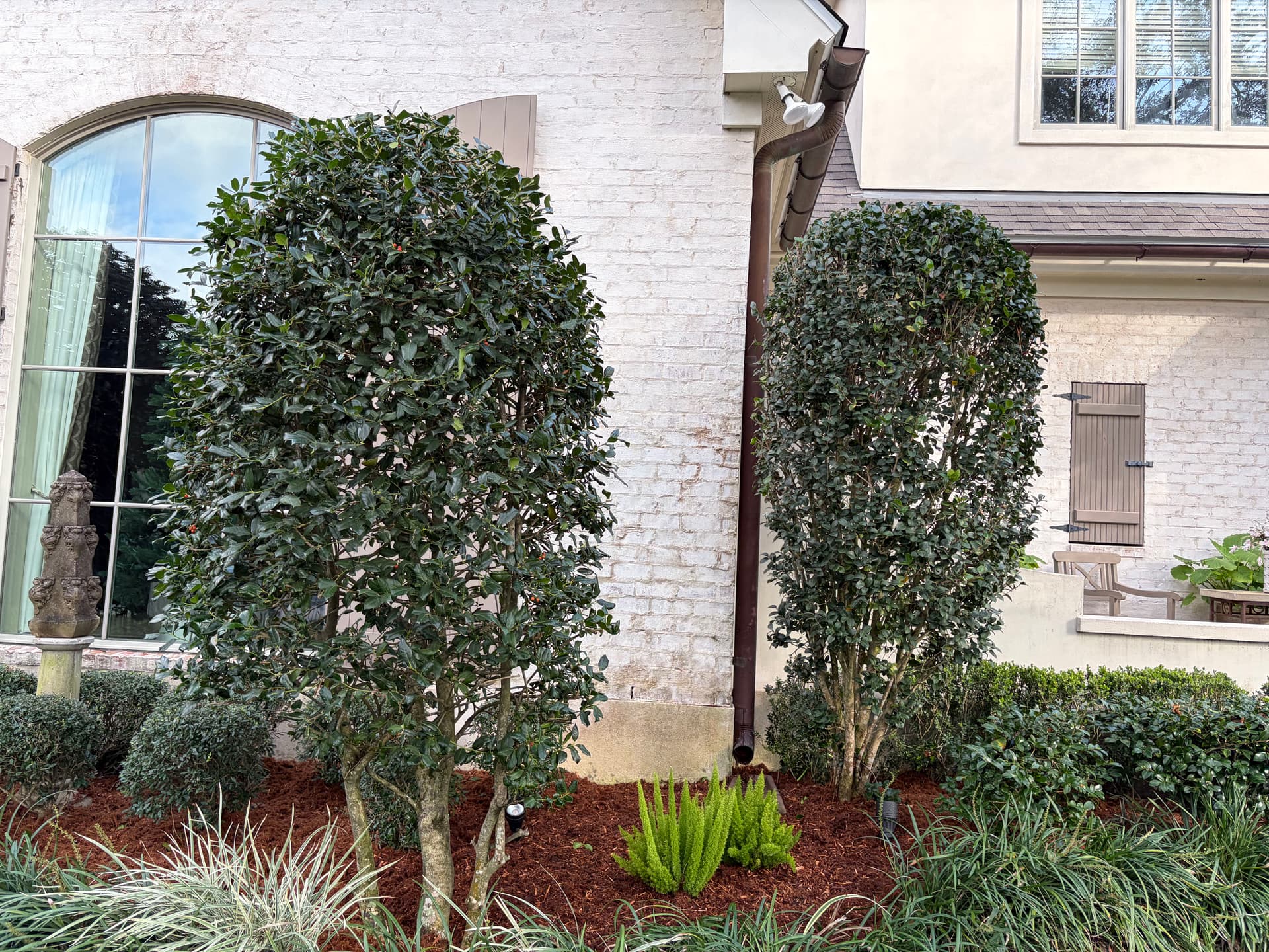Gallery photos for Enhanced Curb Appeal with Fresh Mulch and Trimmed Shrubs: Image #2