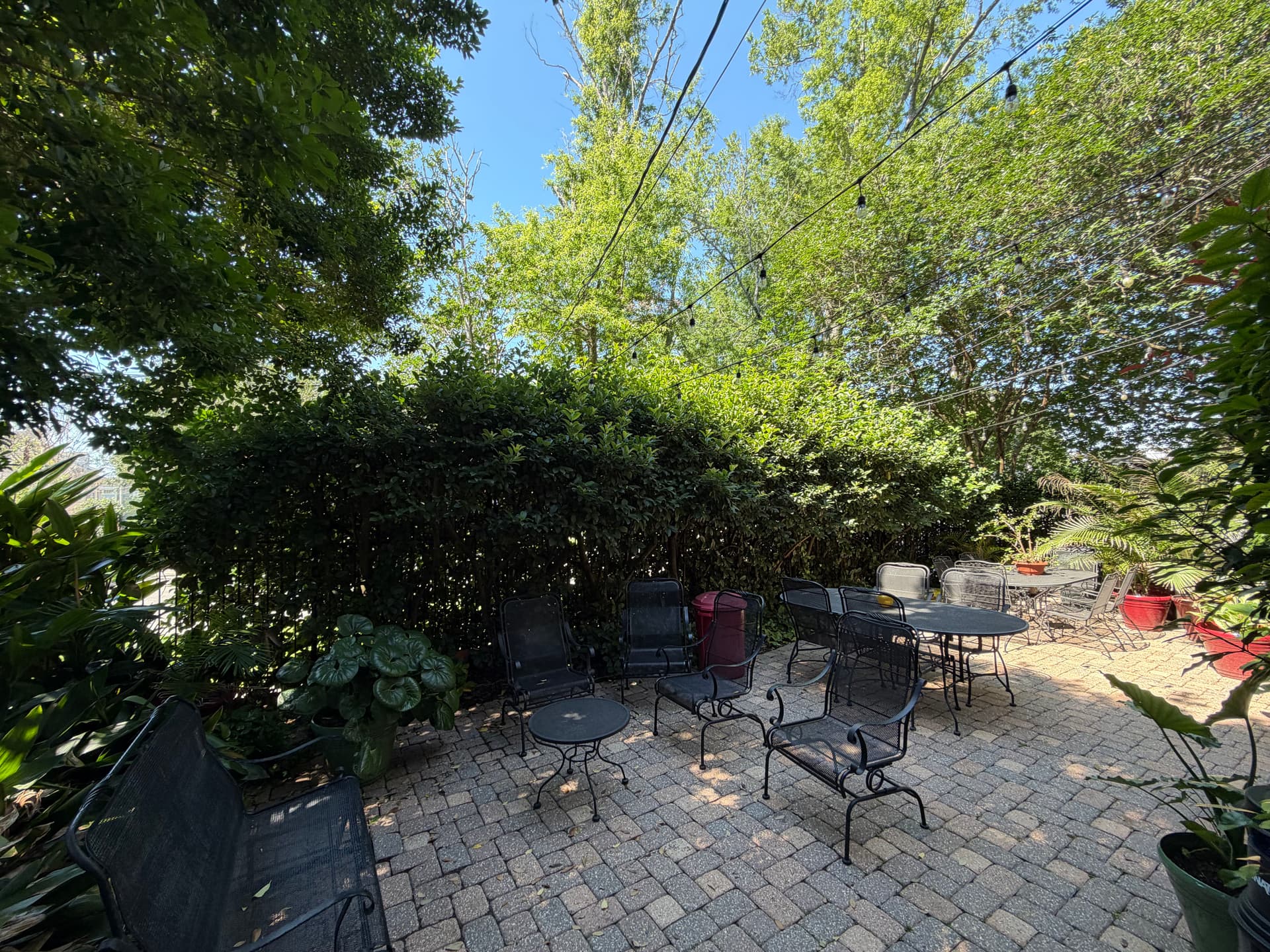 Gallery photos for Full Landscape Cleanup With Fresh Mulch and Shaped Shrubs: Image #3