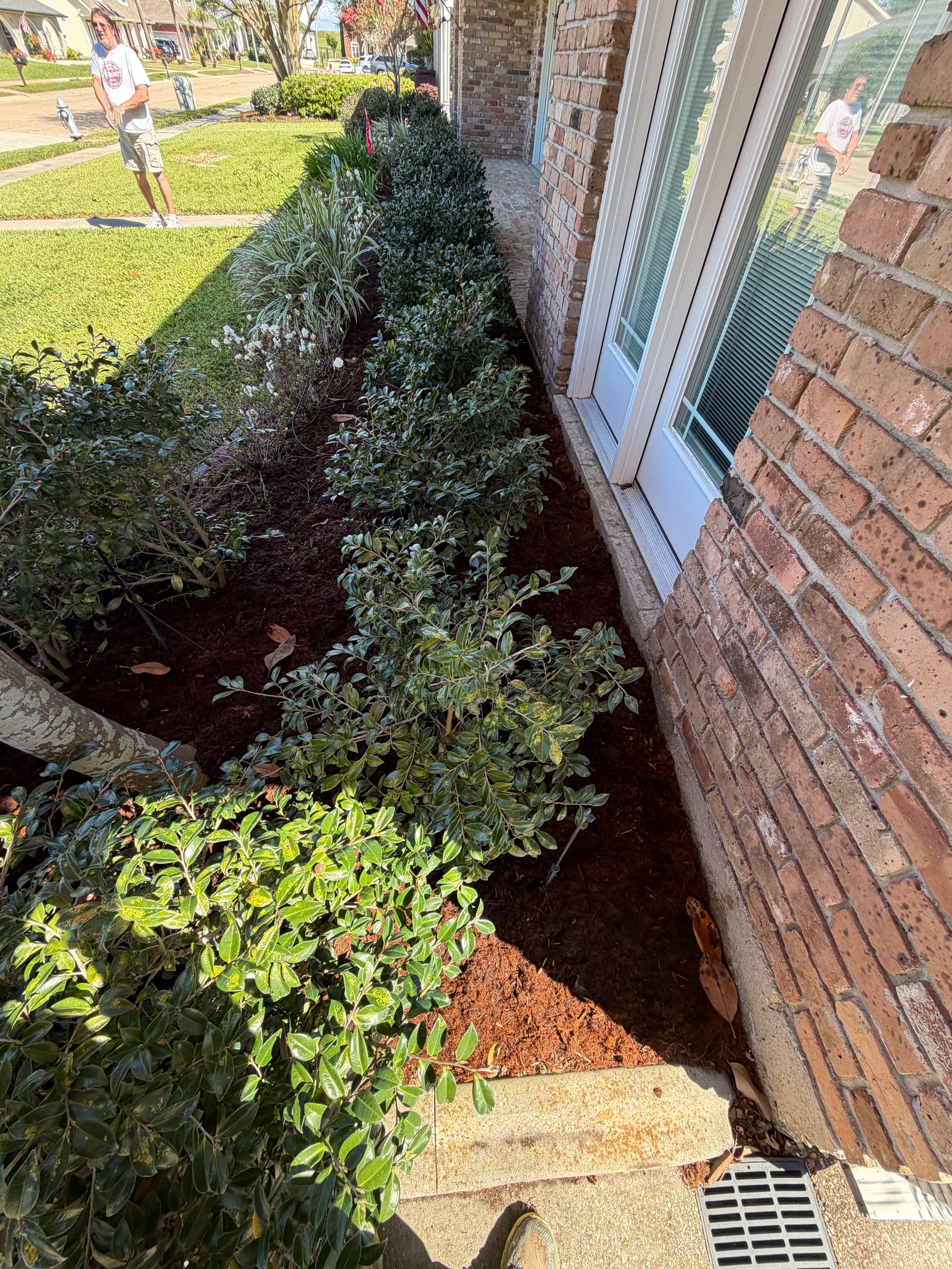 Gallery photos for Transforming Garden Spaces with Expert Lawn Maintenance: Image #7