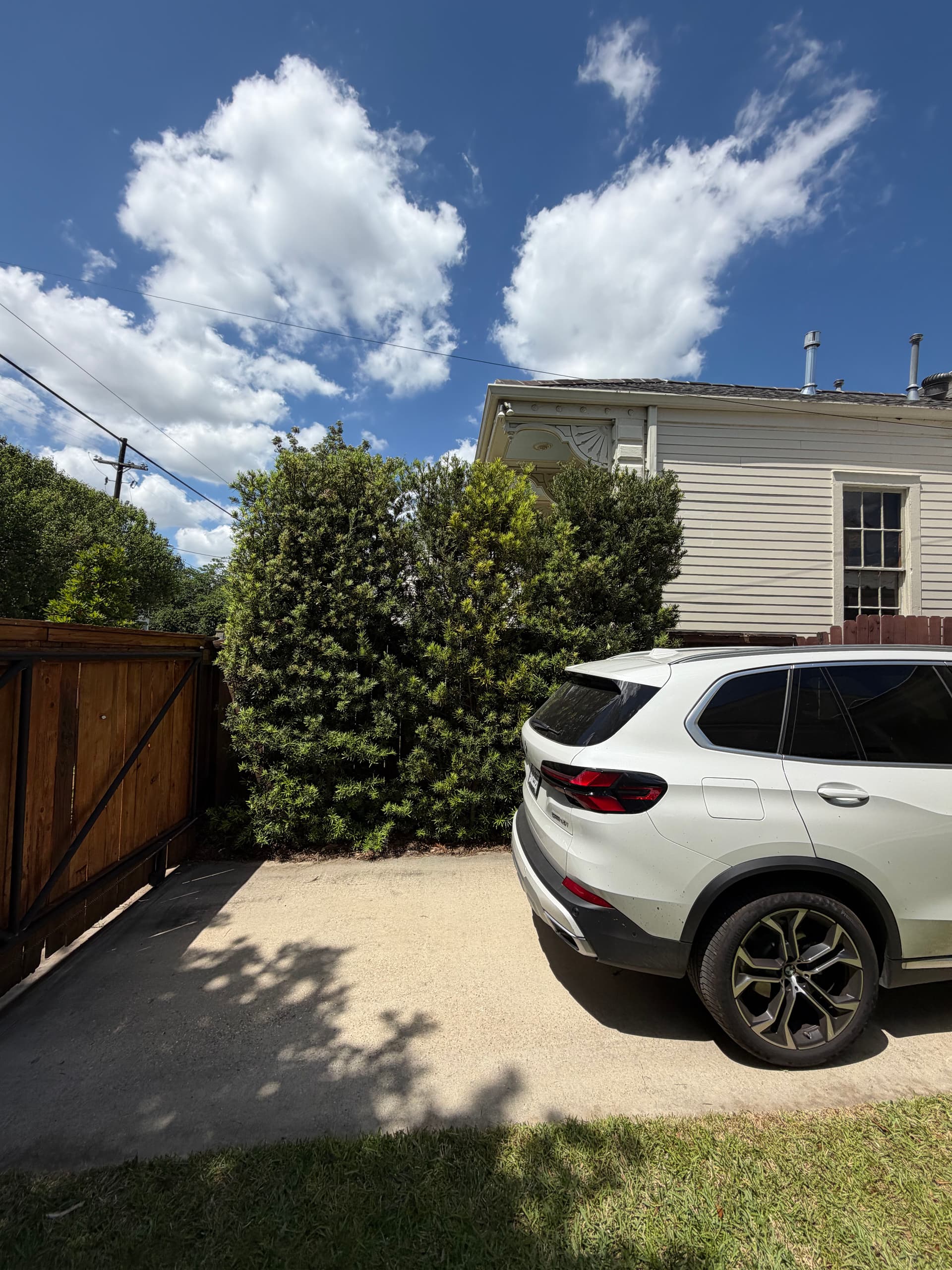 Gallery photos for Full Spring Cleanup on a Historic Property with Oak, Palms, and Garden Beds: Image #4