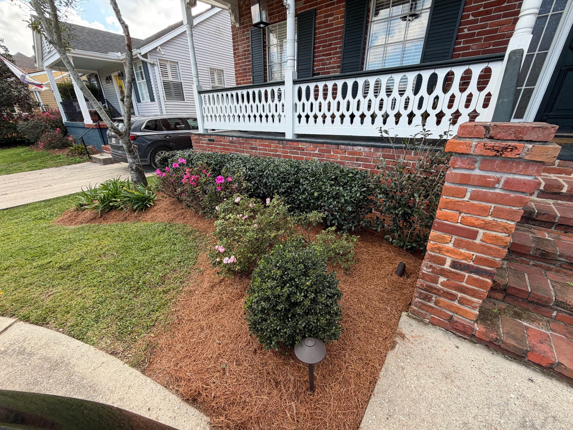 Gallery photos for Front Yard Transformation with Mulching and Trimming: Image #6