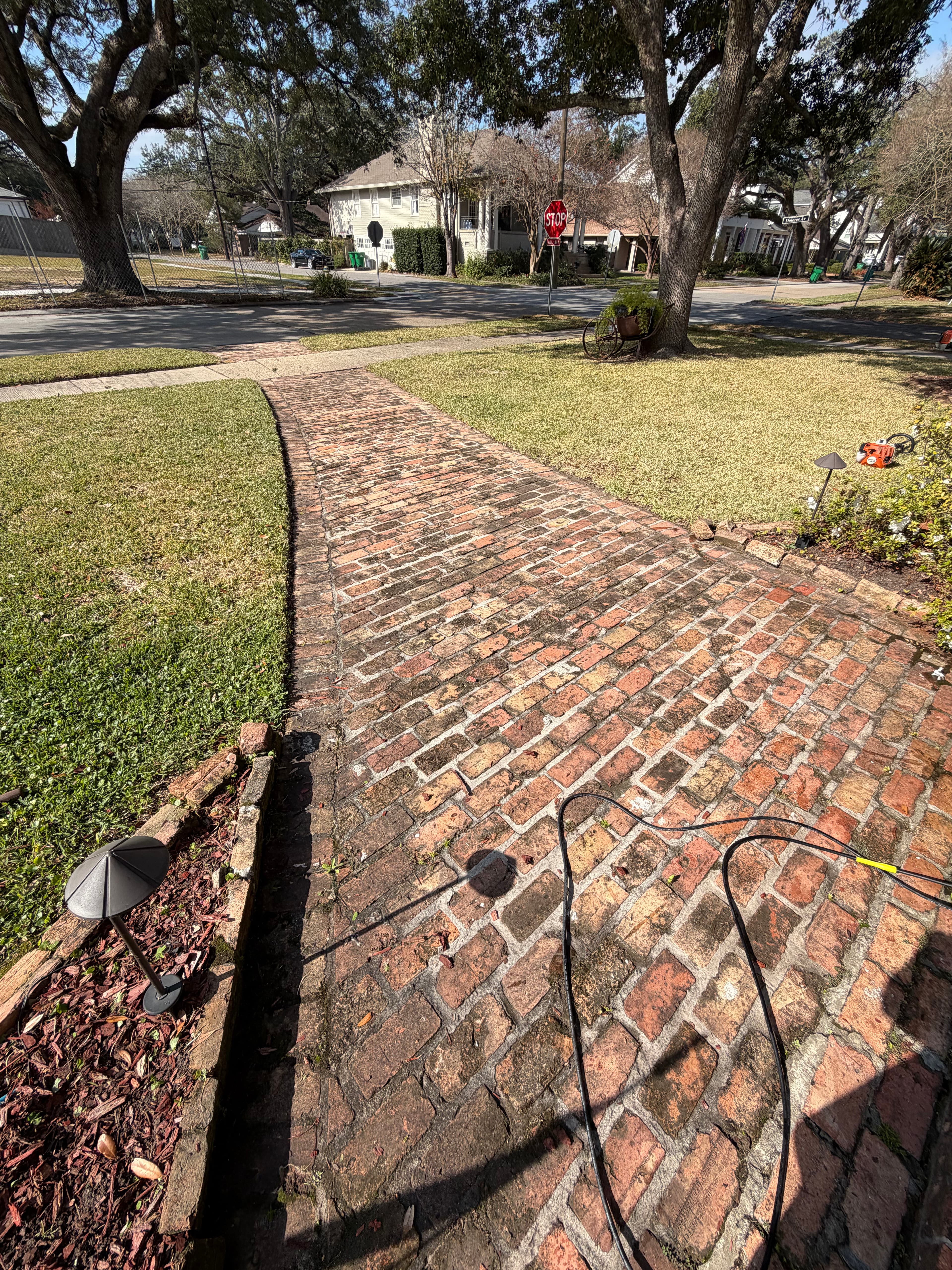 Project Revitalizing Brick Walkway with Expert Pressure Washing image