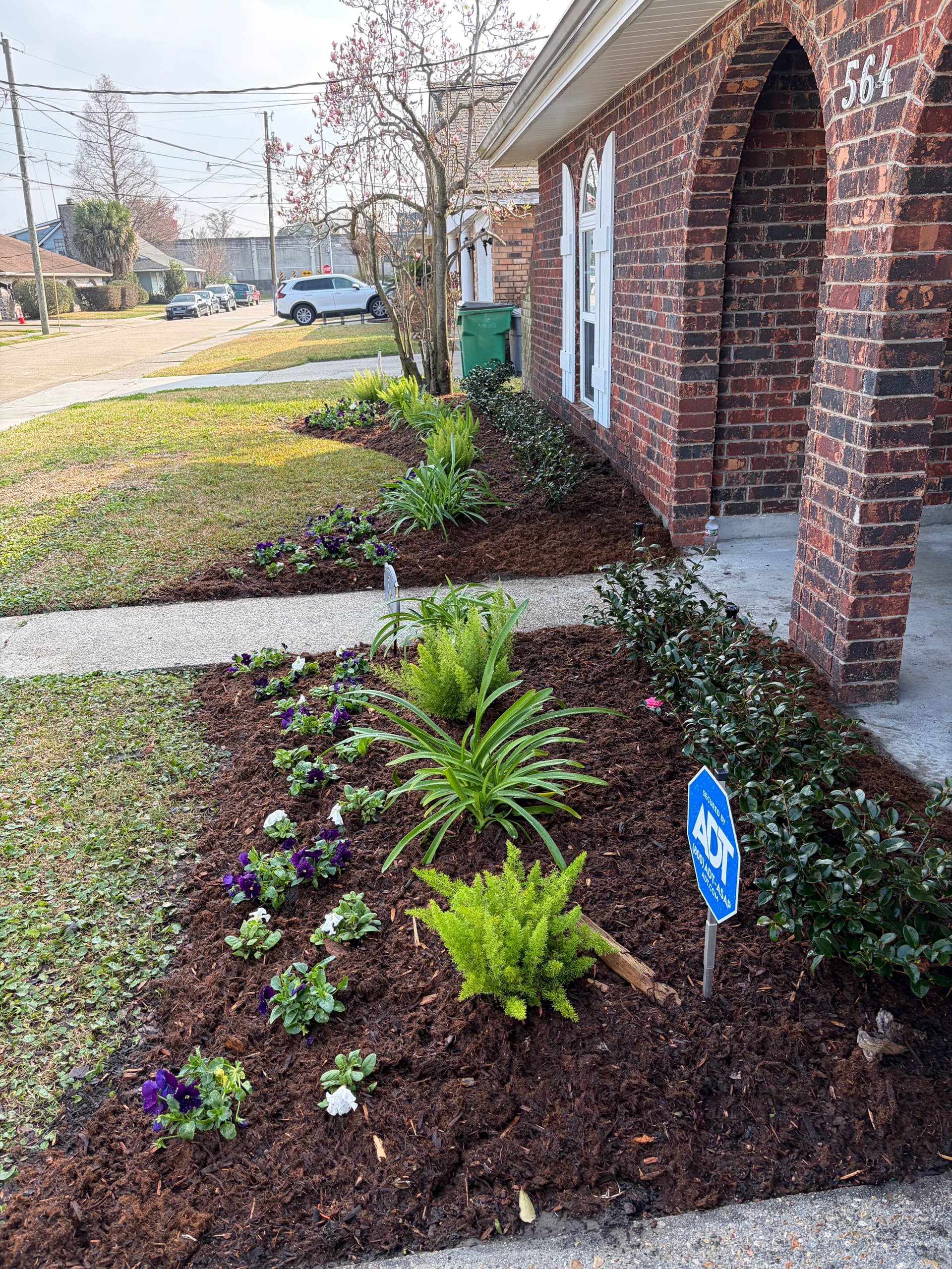 Gallery photos for Front Yard Transformation with Fresh Landscapes and Smart Irrigation: Image #8