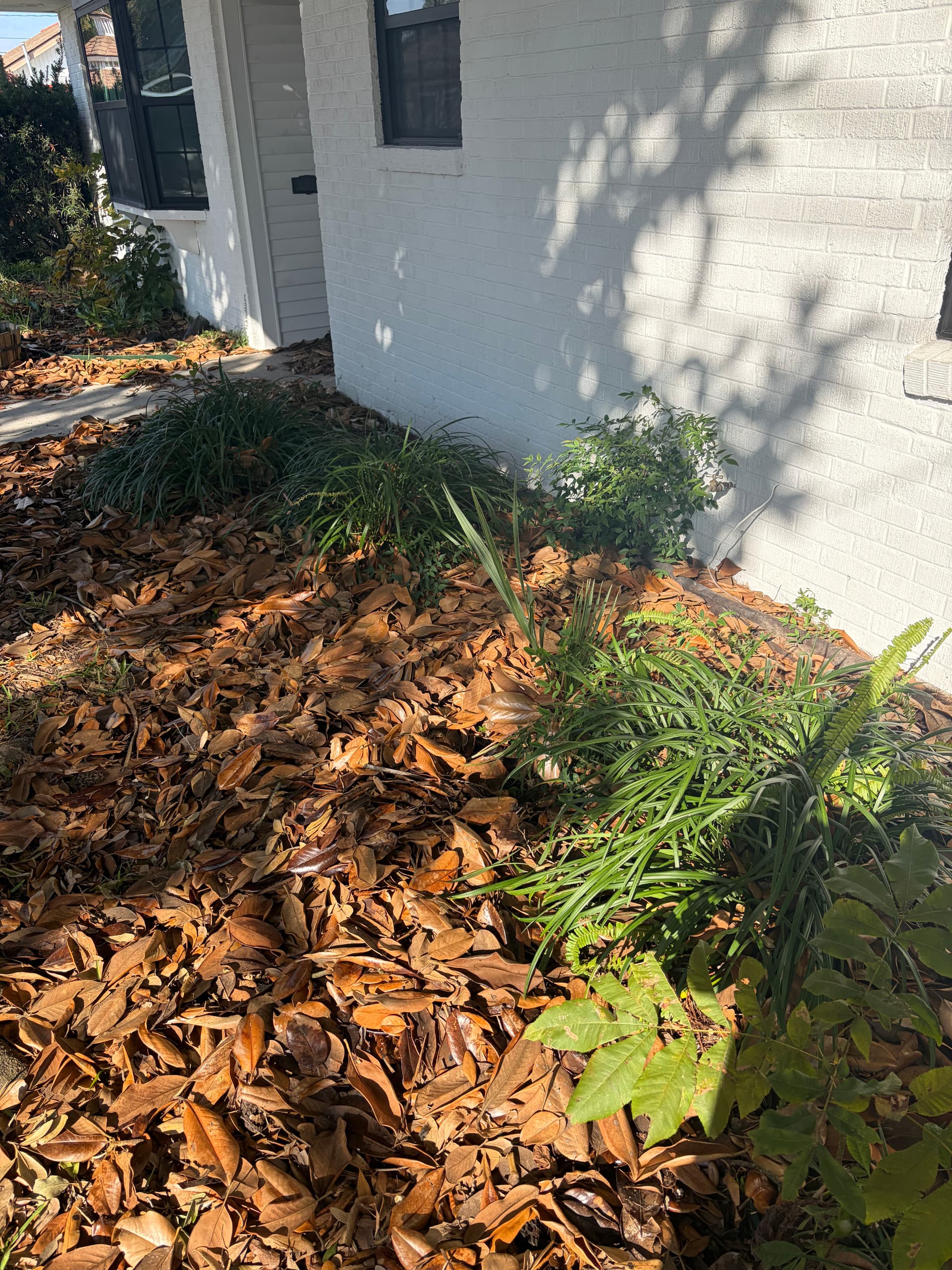 Gallery photos for Revamped Front Yard Landscape: Image #2