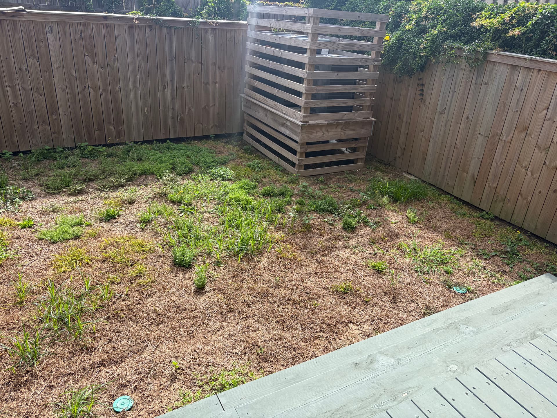 Gallery photos for Dead Backyard Lawn Gets a Full St. Augustine Sod Overhaul: Image #1
