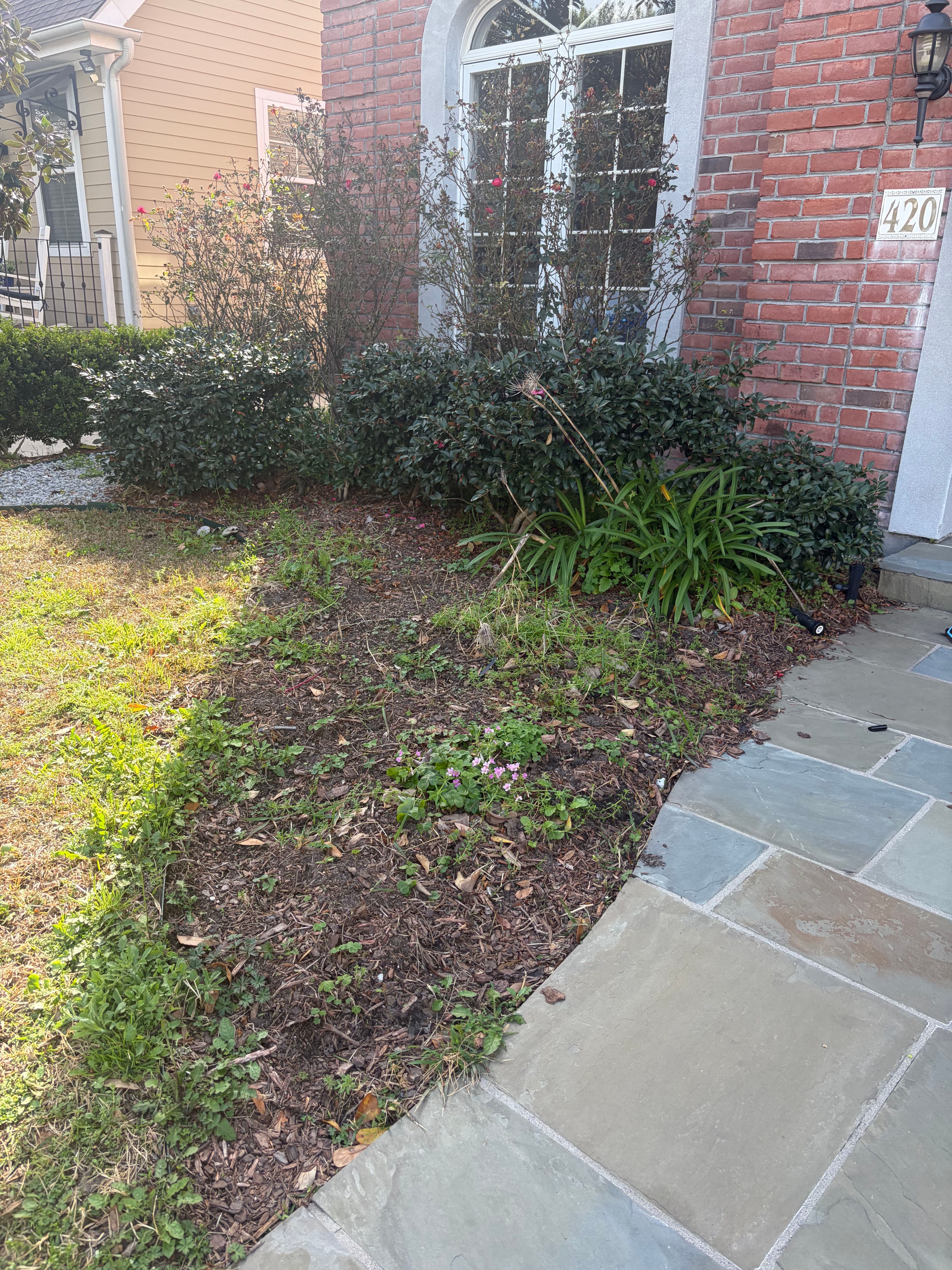 Project Garden Makeover with Fresh Planting image