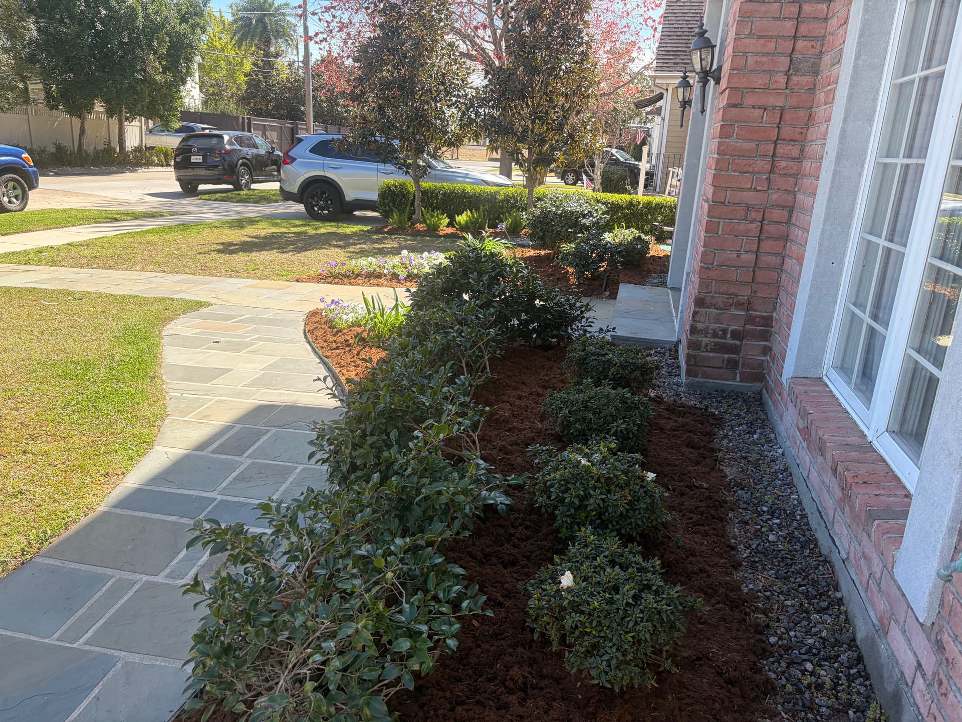 Gallery photos for Garden Makeover with Fresh Planting: Image #7