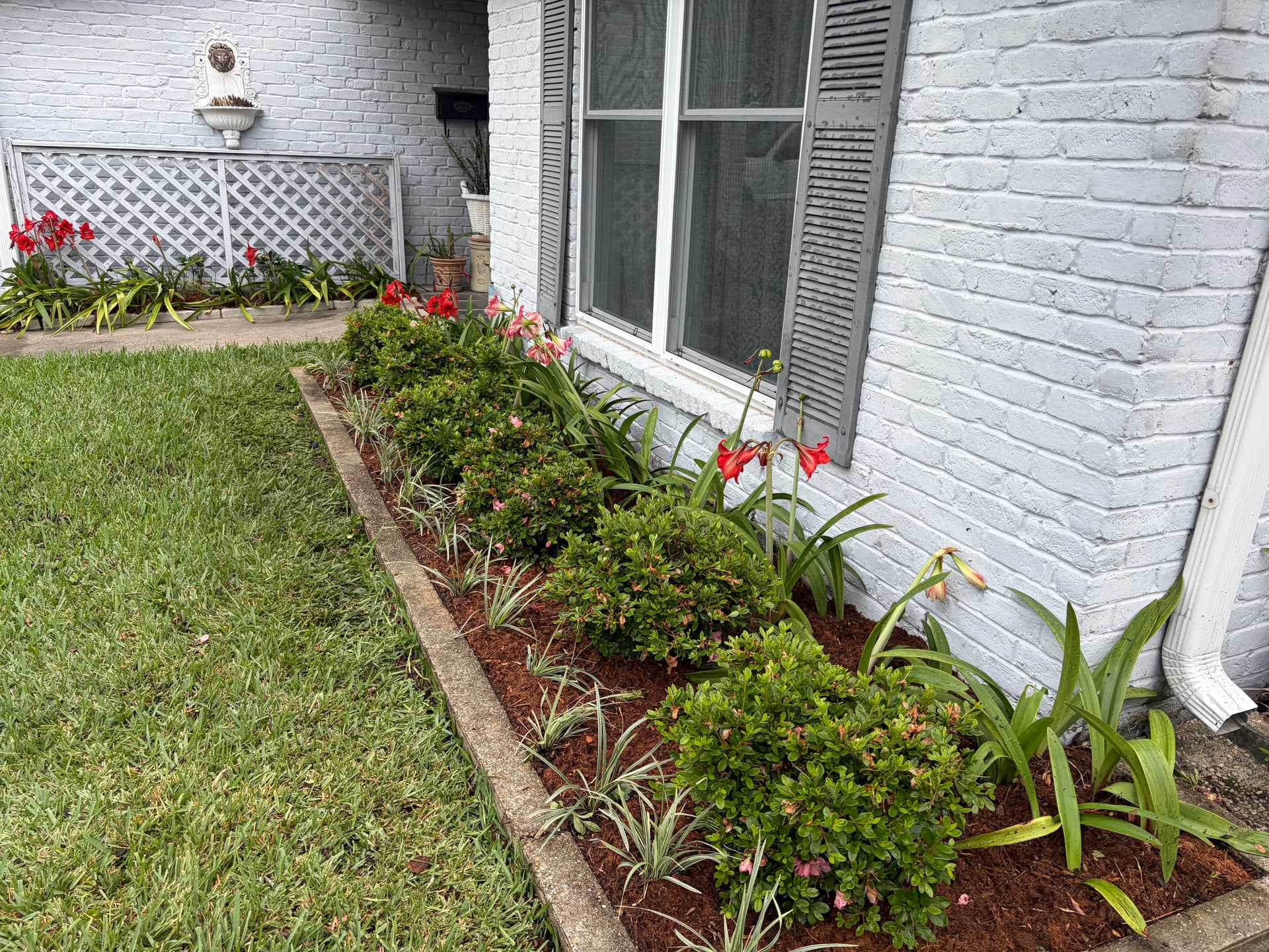 Gallery photos for Front Yard Garden Bed Cleanup and Fresh Plant Installation: Image #2
