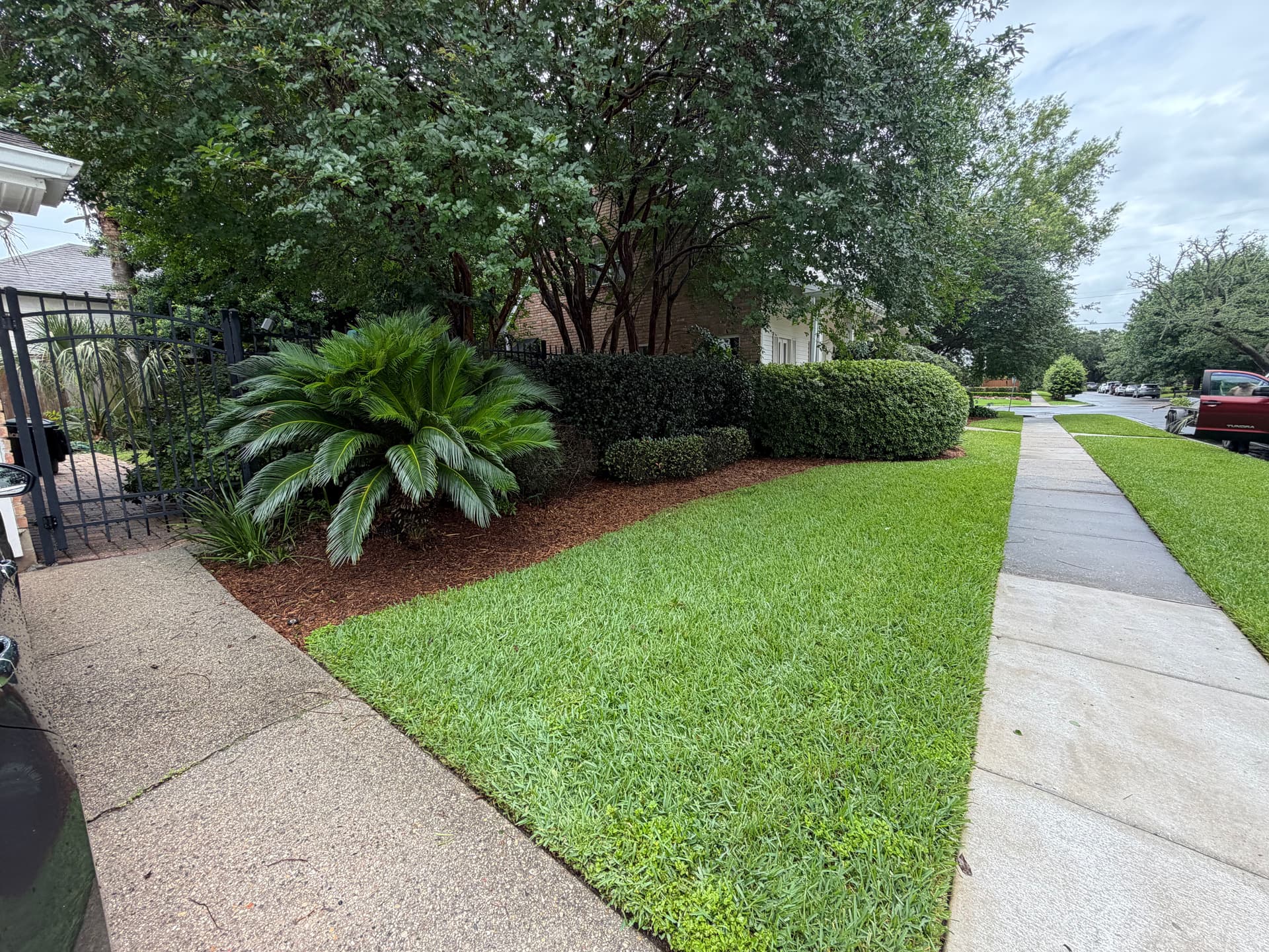 Gallery photos for Full Landscape Cleanup With Fresh Mulch and Shaped Shrubs: Image #7