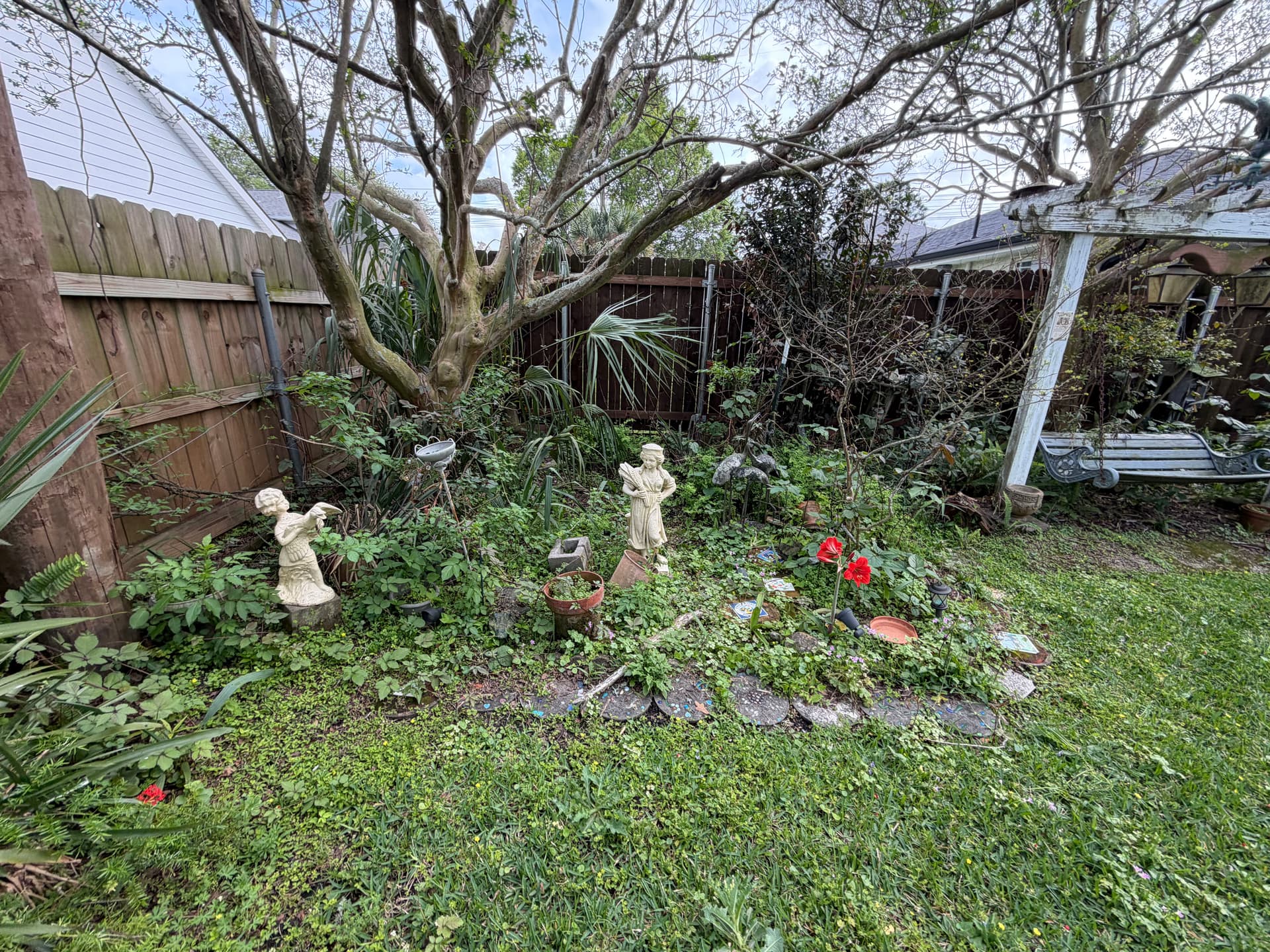Backyard Cleanup That Actually Makes a Difference image