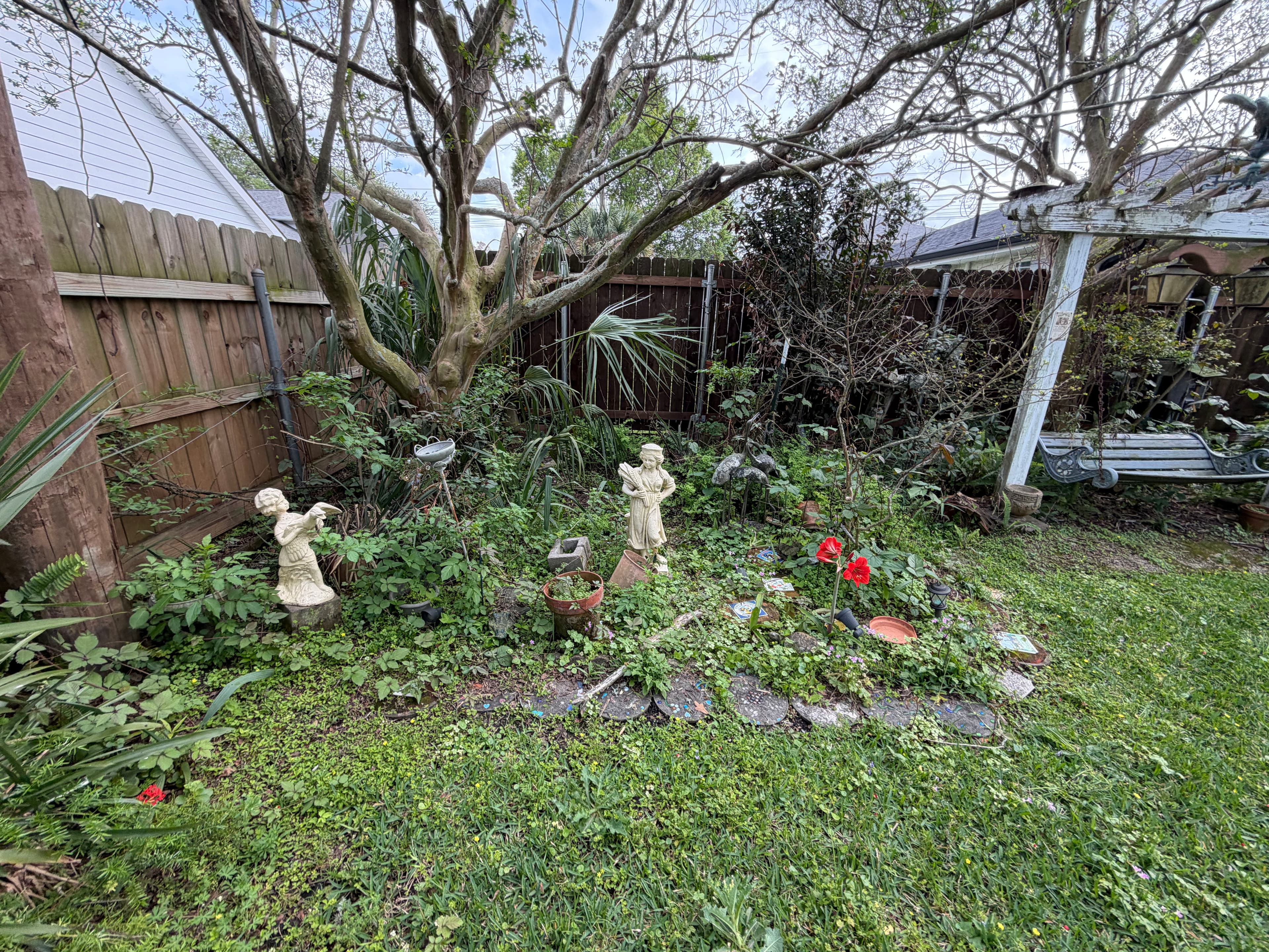 Project Backyard Cleanup That Actually Makes a Difference image
