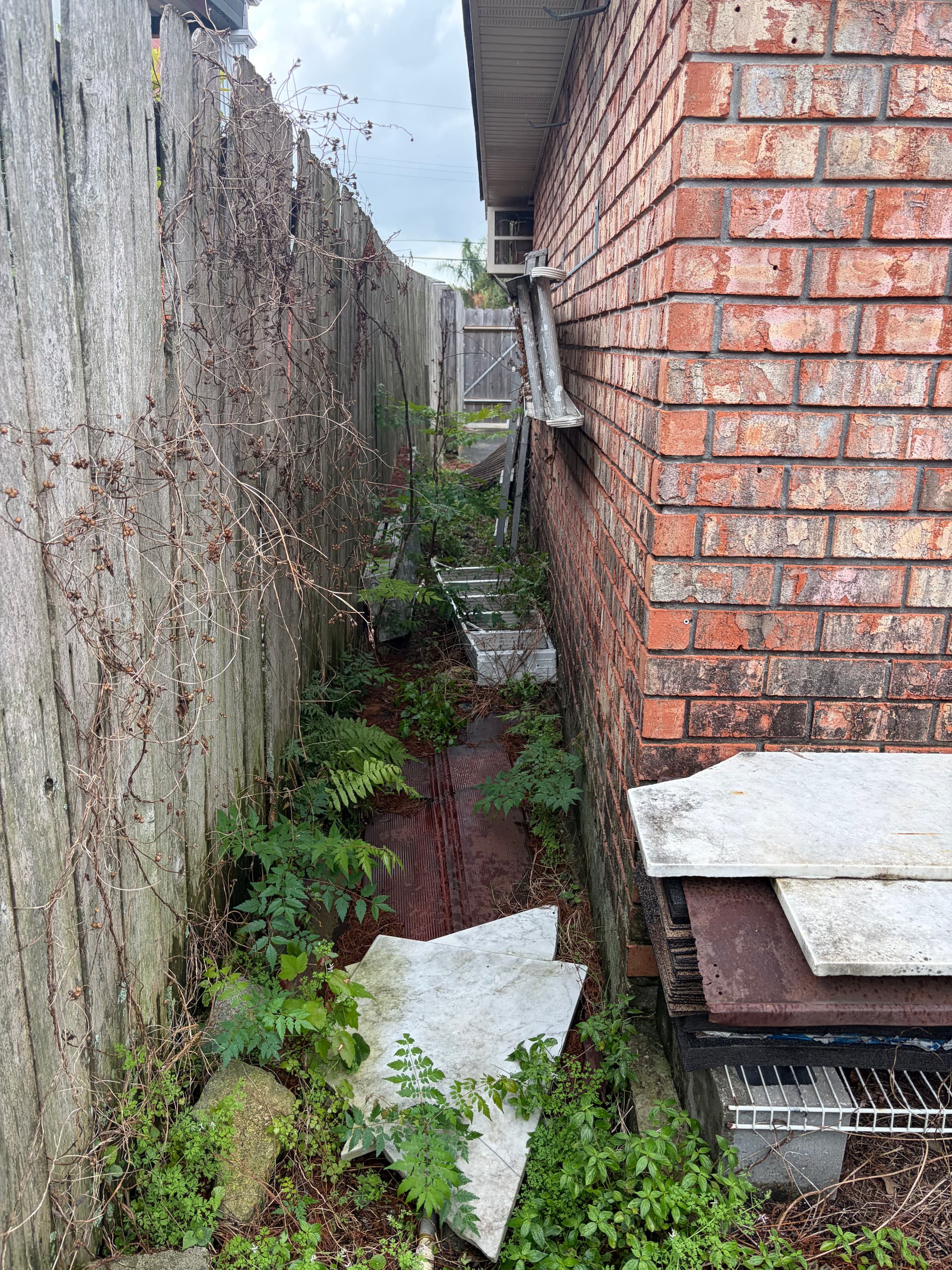 Gallery photos for Comprehensive Yard Cleanup and Transformation: Image #8