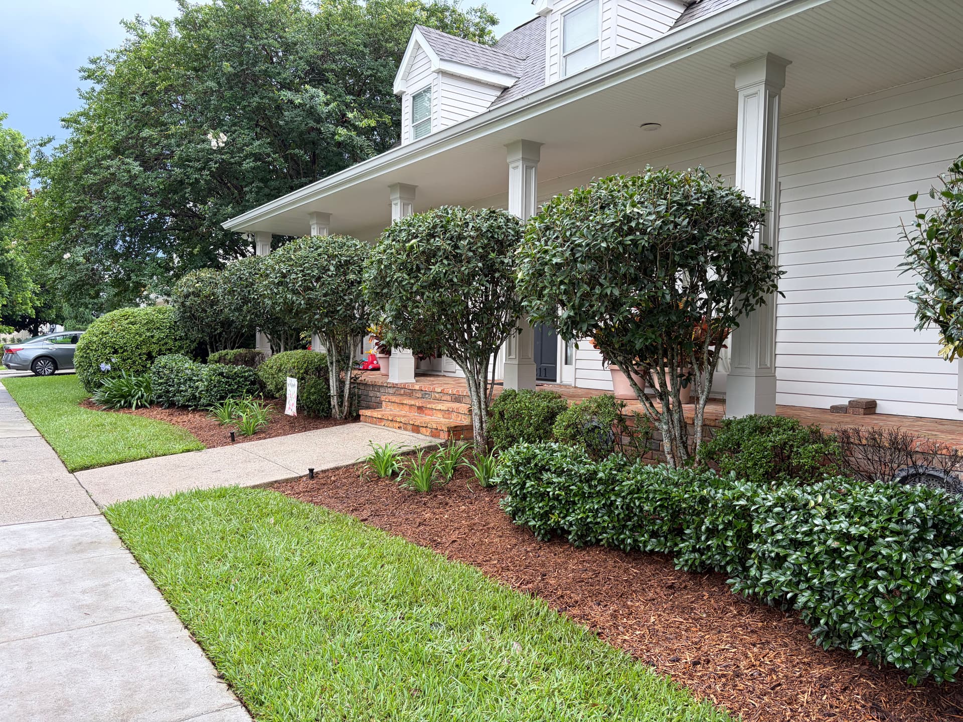 Gallery photos for Full Landscape Cleanup With Fresh Mulch and Shaped Shrubs: Image #5